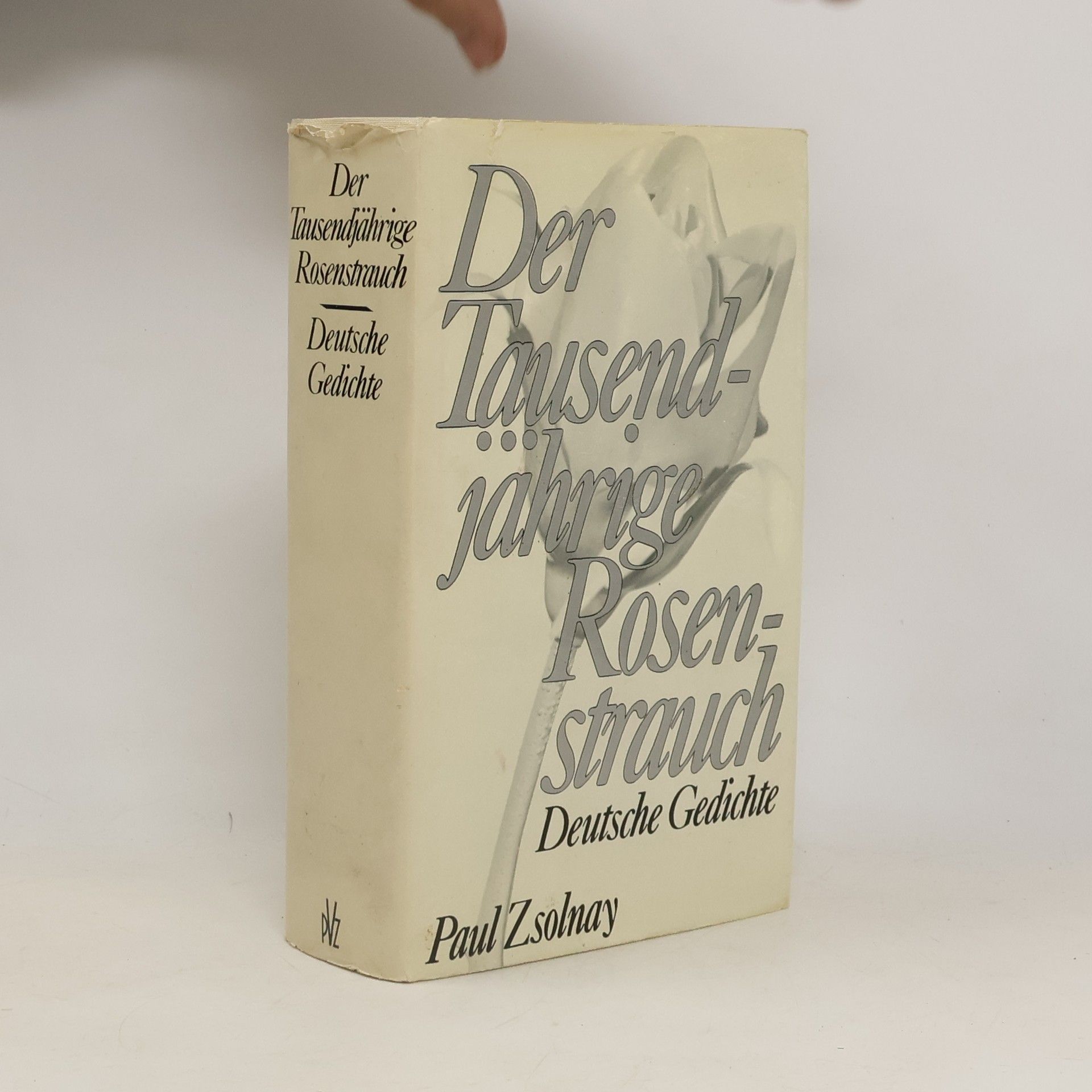 Felix Braun Der tausendjährige Rosenstrauch