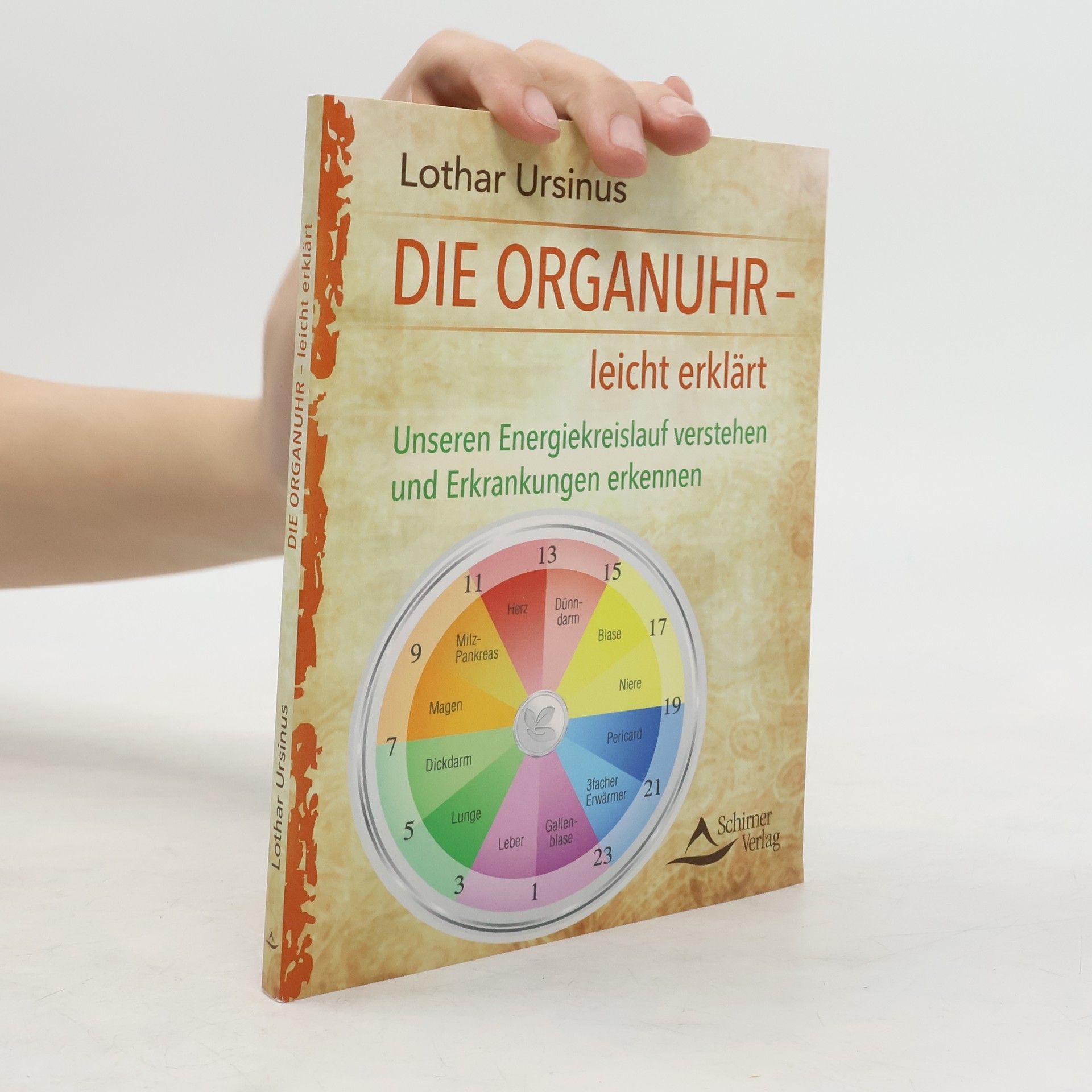 Die Organuhr – leicht erklärt