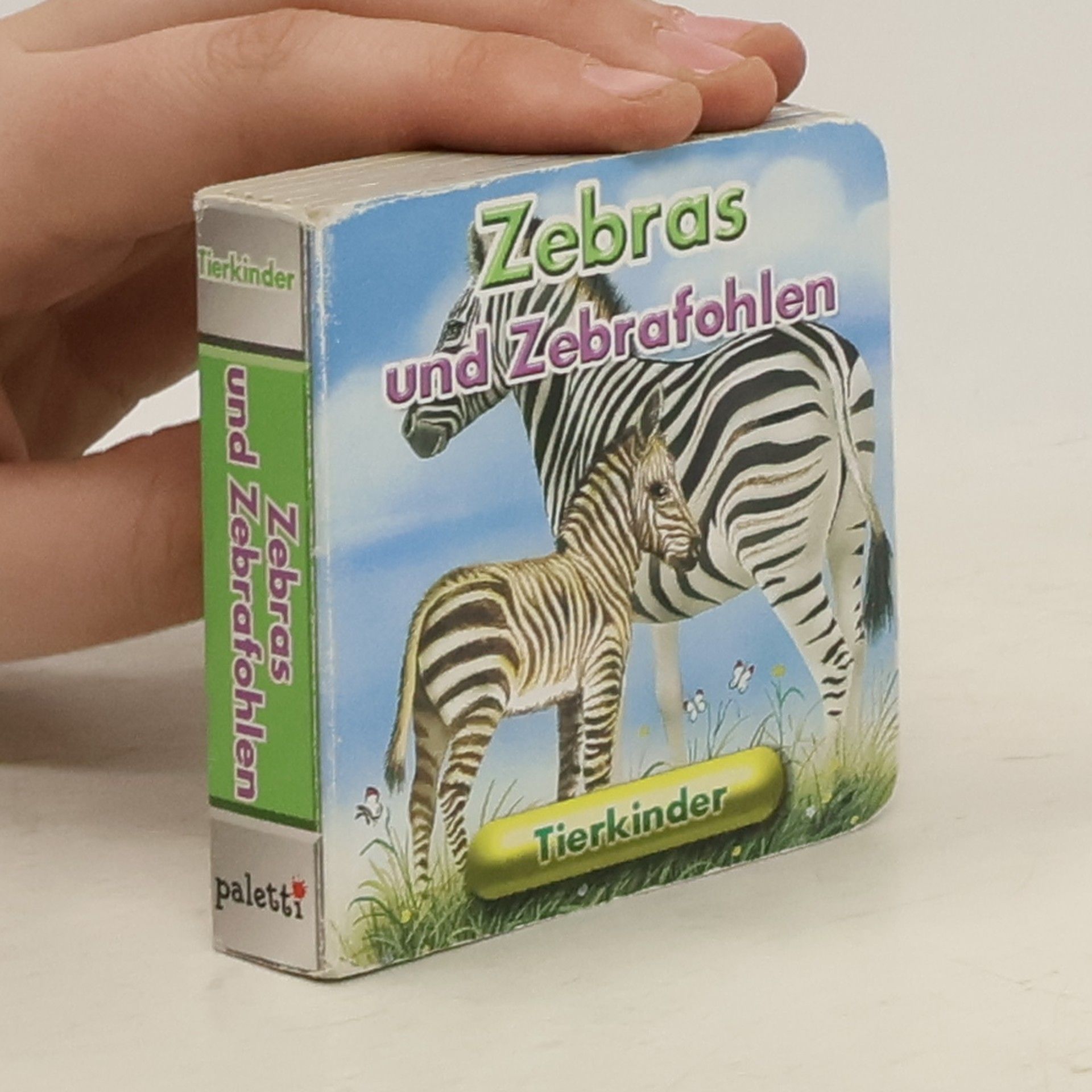 AA.VV. Zebra und Zebrafohlen