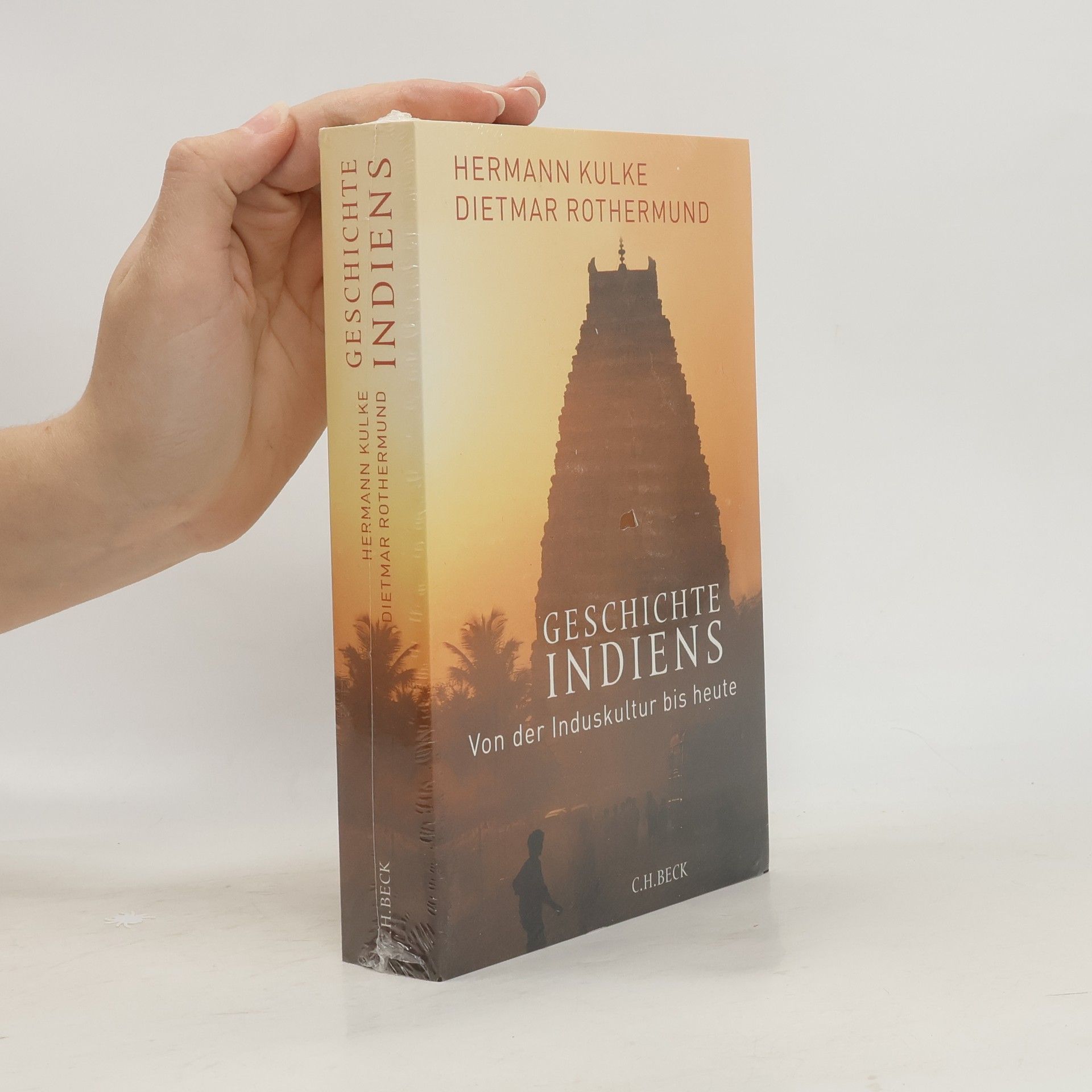 Hermann Kulke Geschichte Indiens