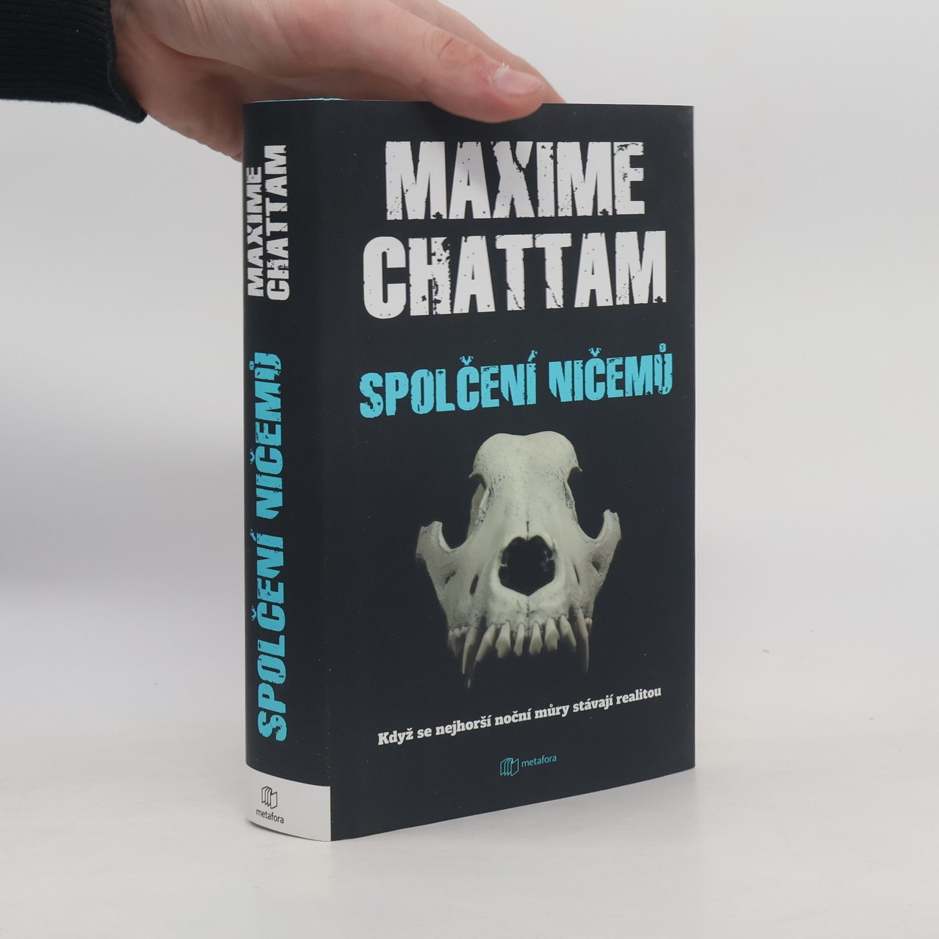 Maxime Chattam Spolčení ničemů