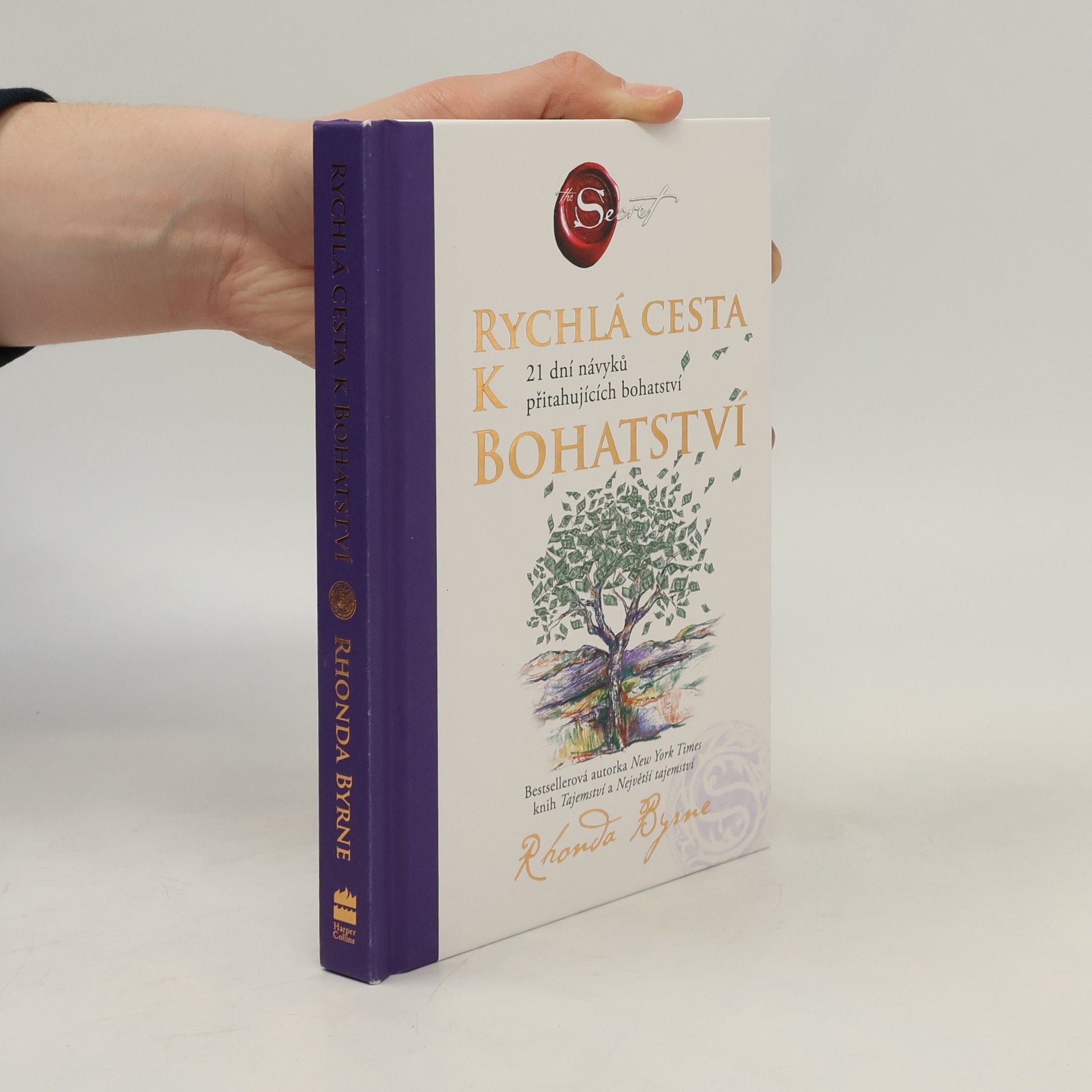 Rychlá cesta k bohatství : 21 dní návyků přitahujících bohatství