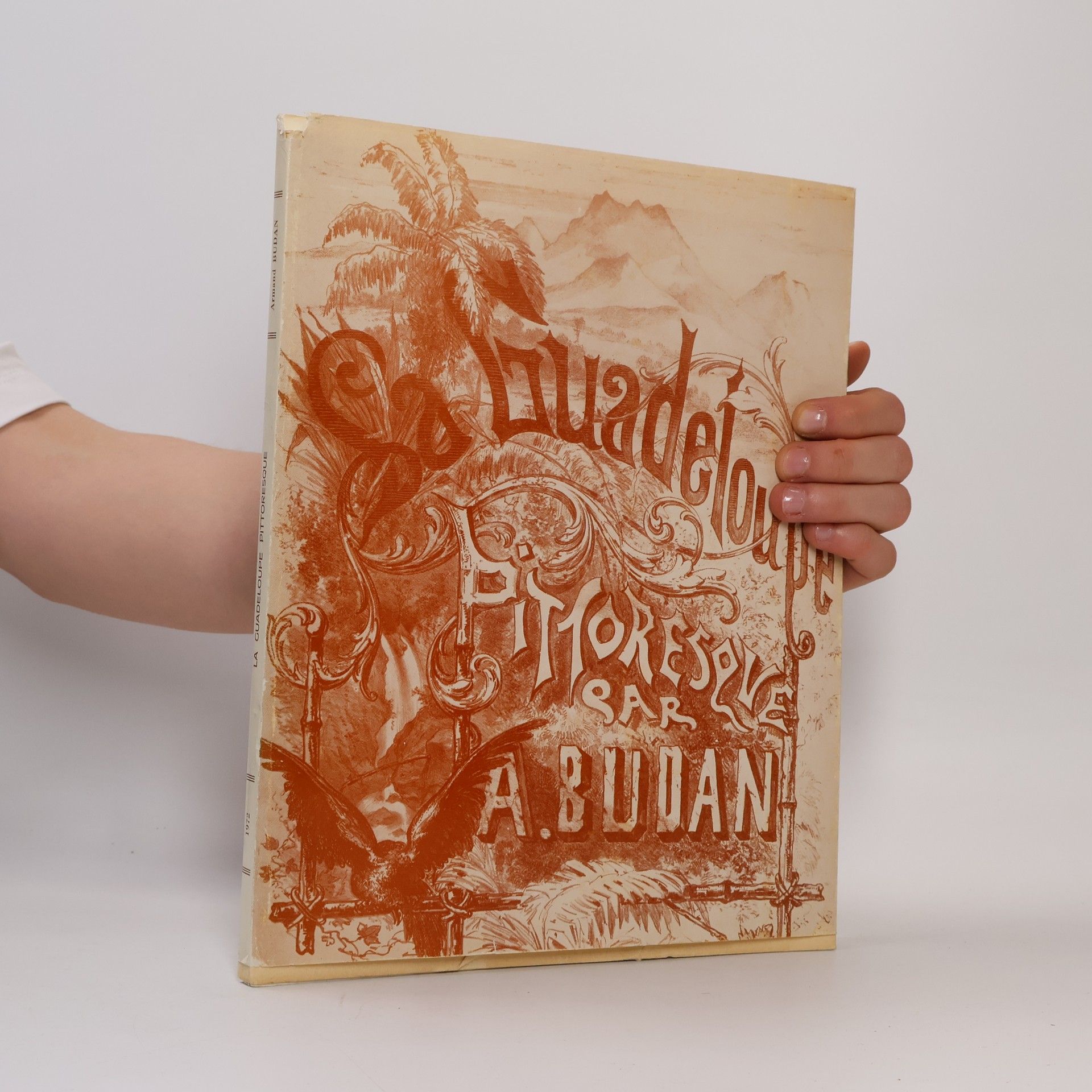 Armand Budan La Guadeloupe pittoresque