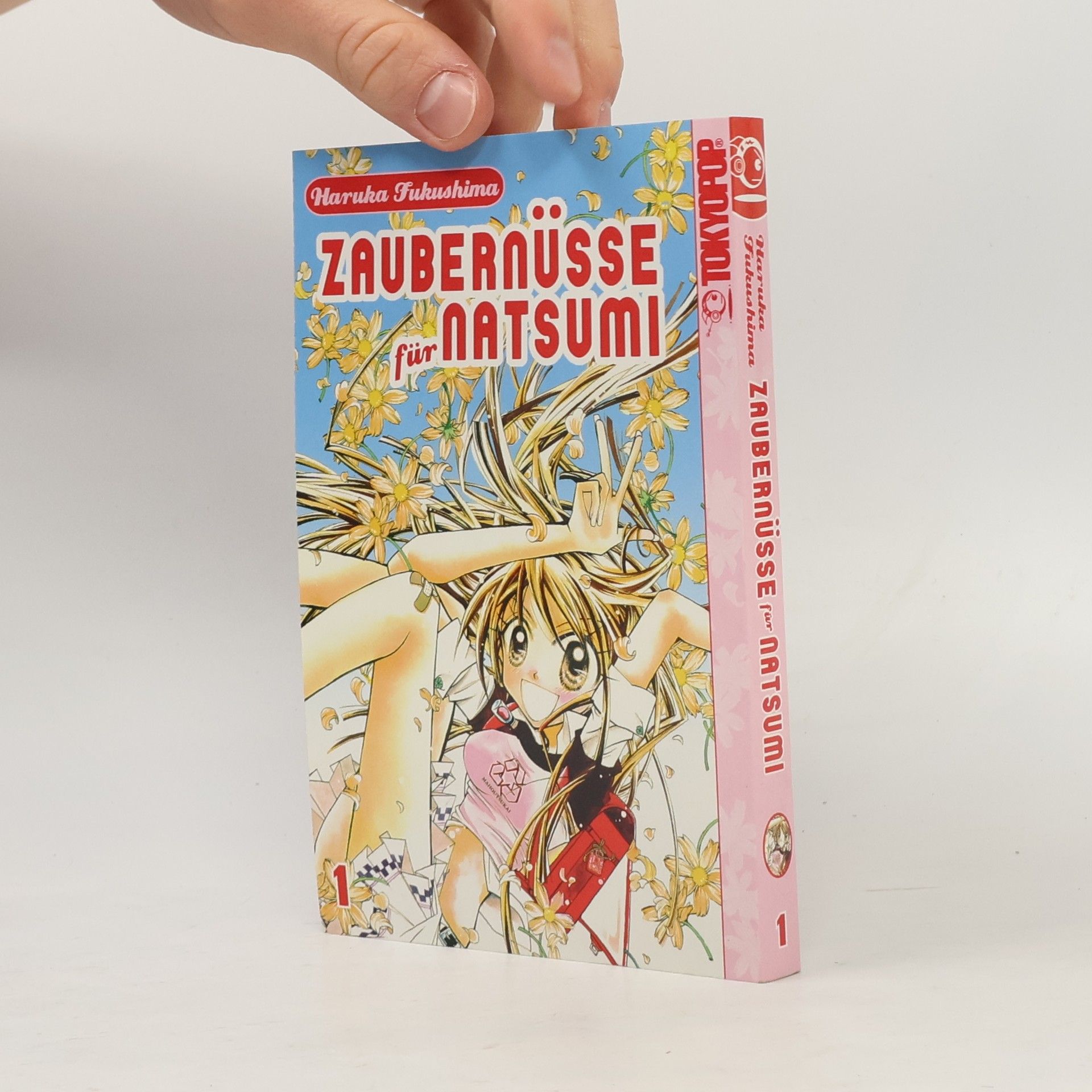 Autorenkollektiv Zaubernüsse für Natsumi