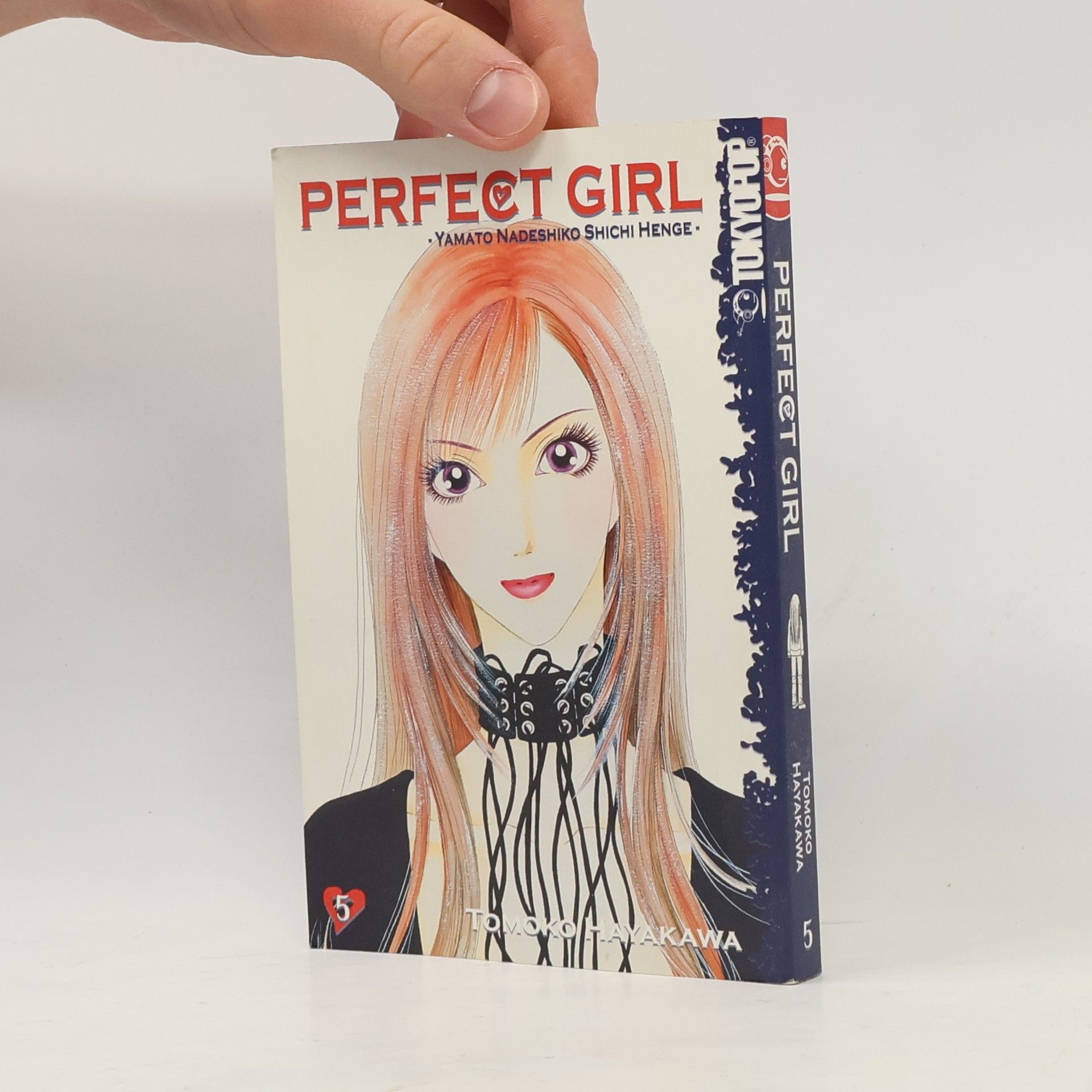 Tomoko Hayakawa Perfect Girl 5