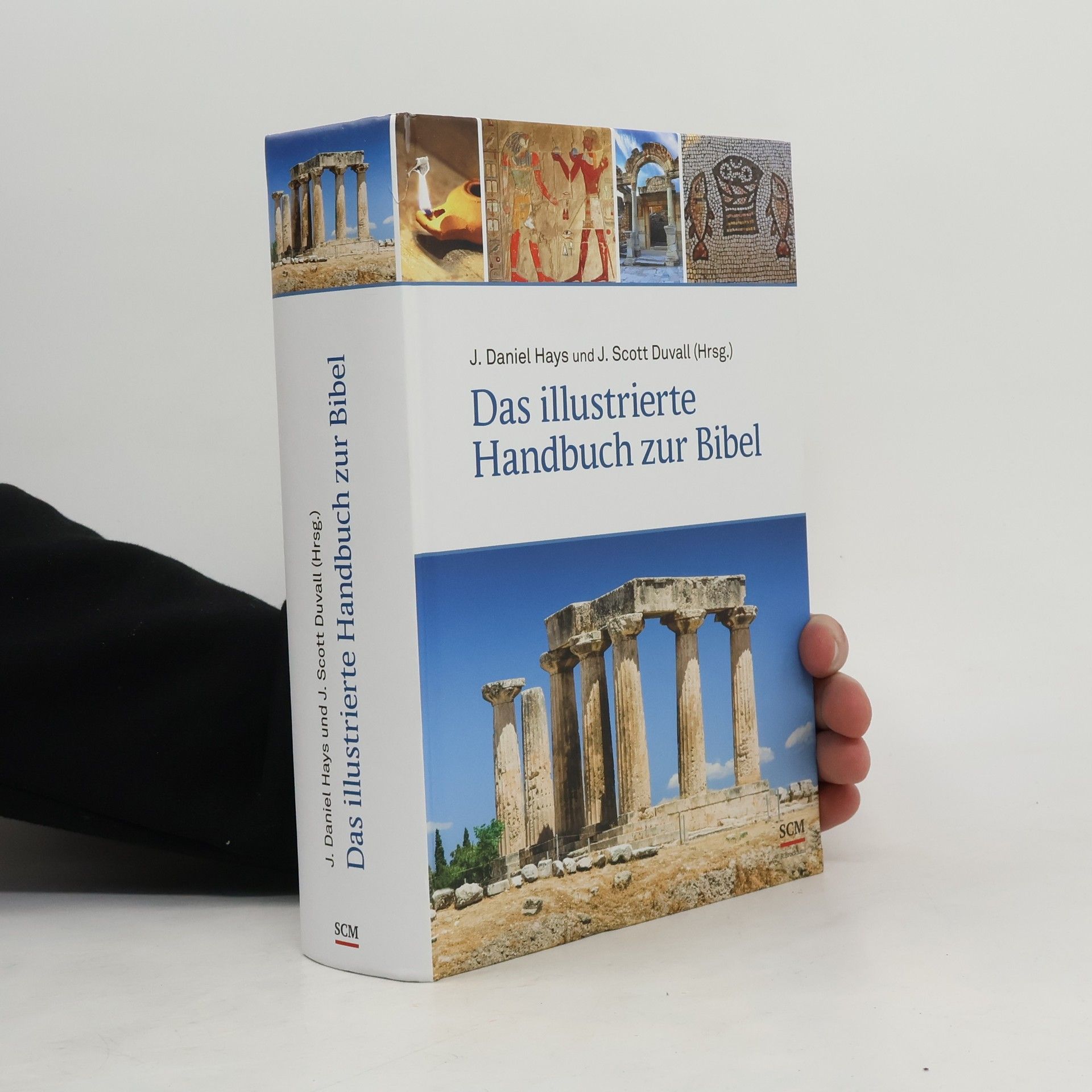 J. Daniel Hays Das illustrierte Handbuch zur Bibel