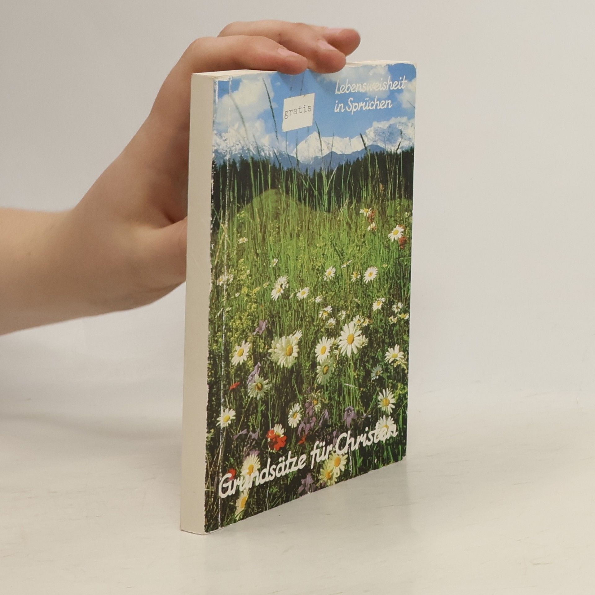 Autores varios Lebensweisheit in Sprüchen Grundsätze für Christen