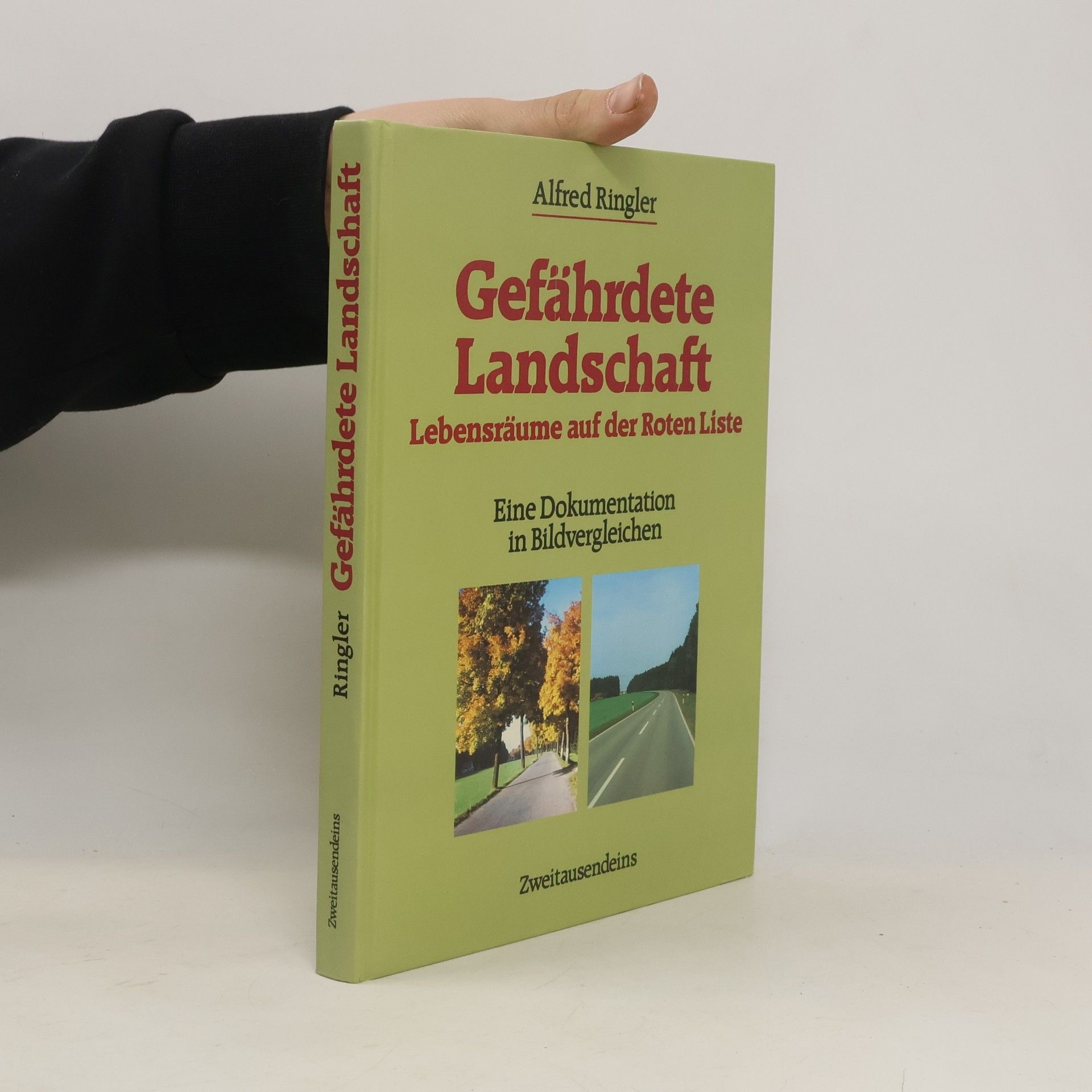 Alfred Ringler Gefährdete Landschaft