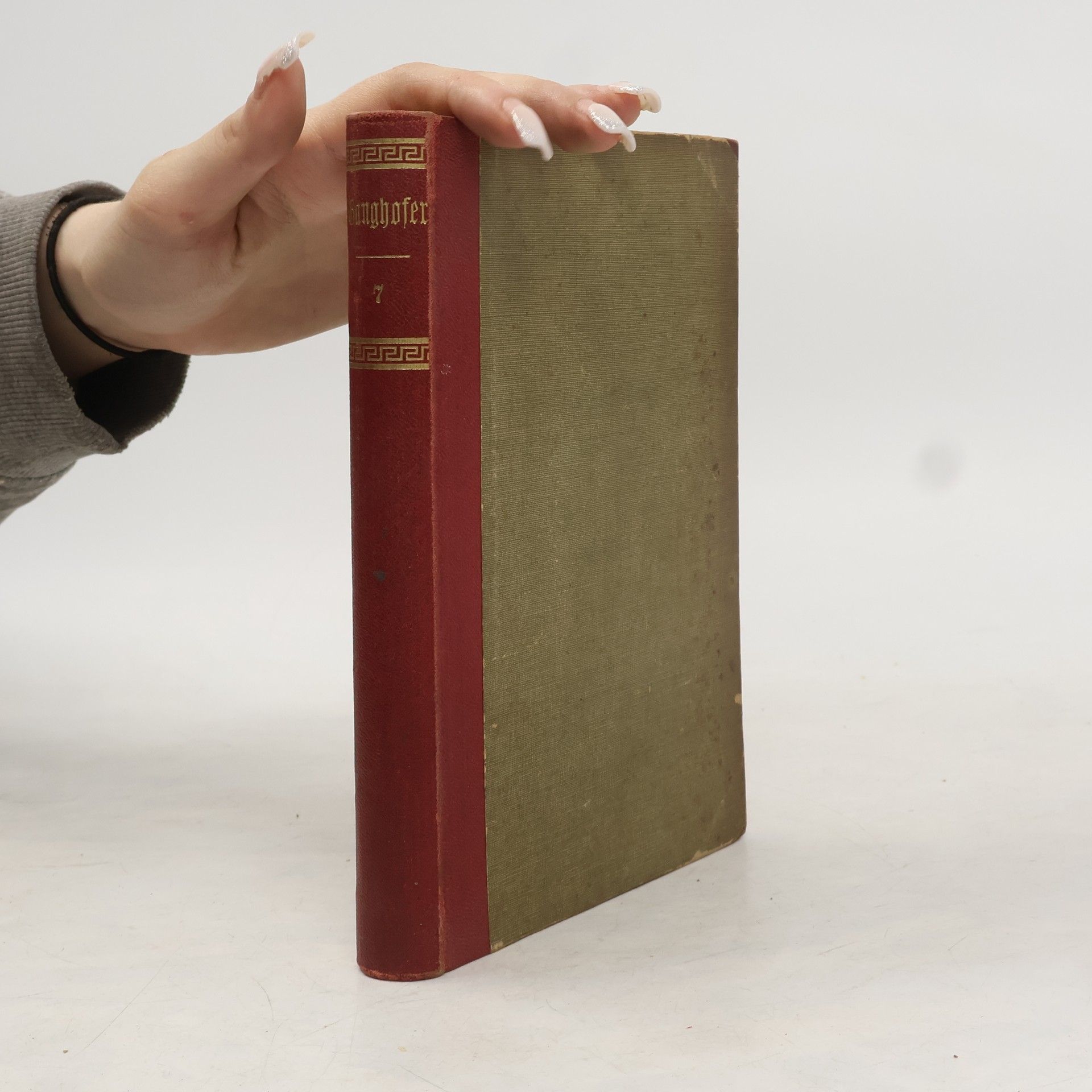 Ludwig Ganghofer Die Martinsklause. Band 1