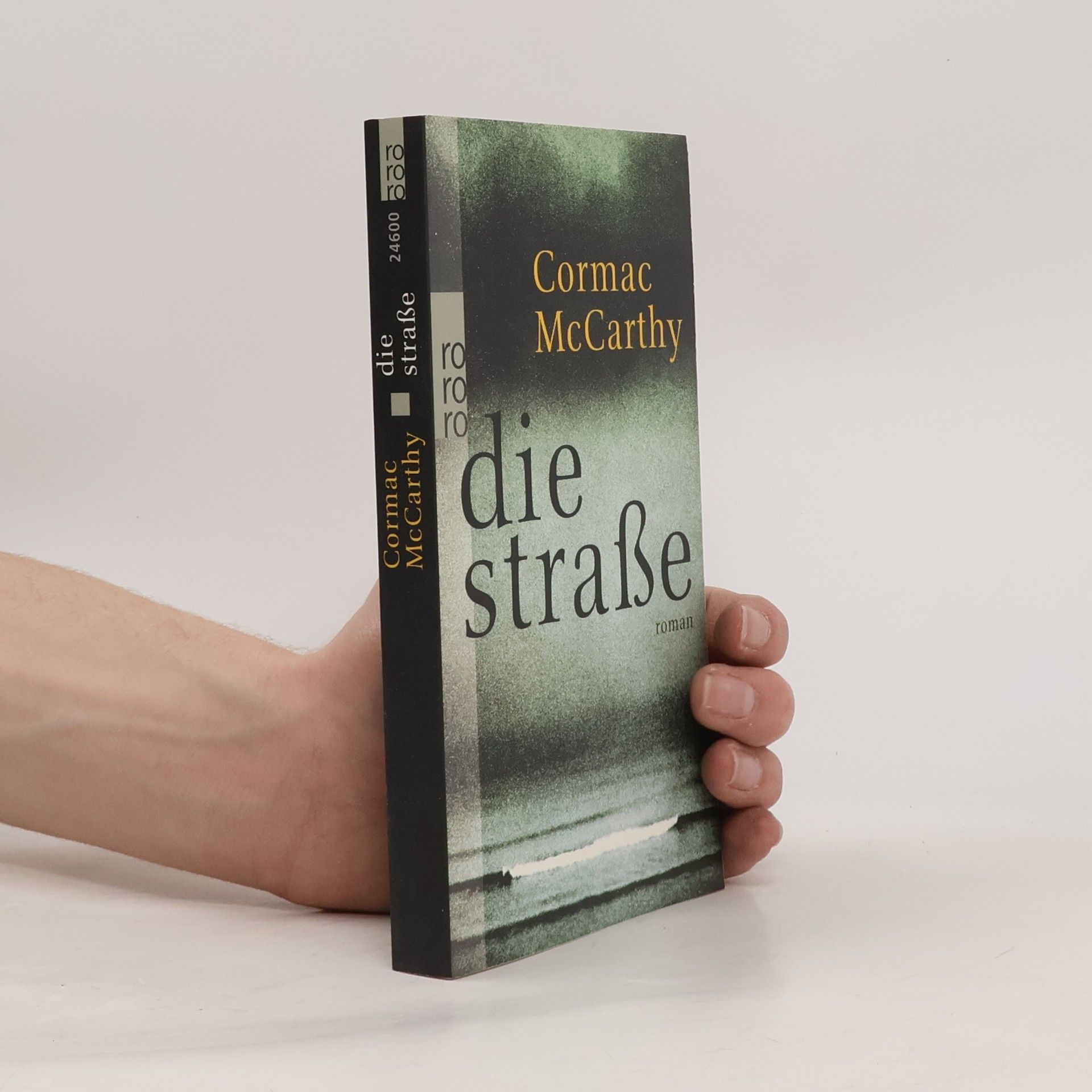 Cormac McCarthy Die Straße
