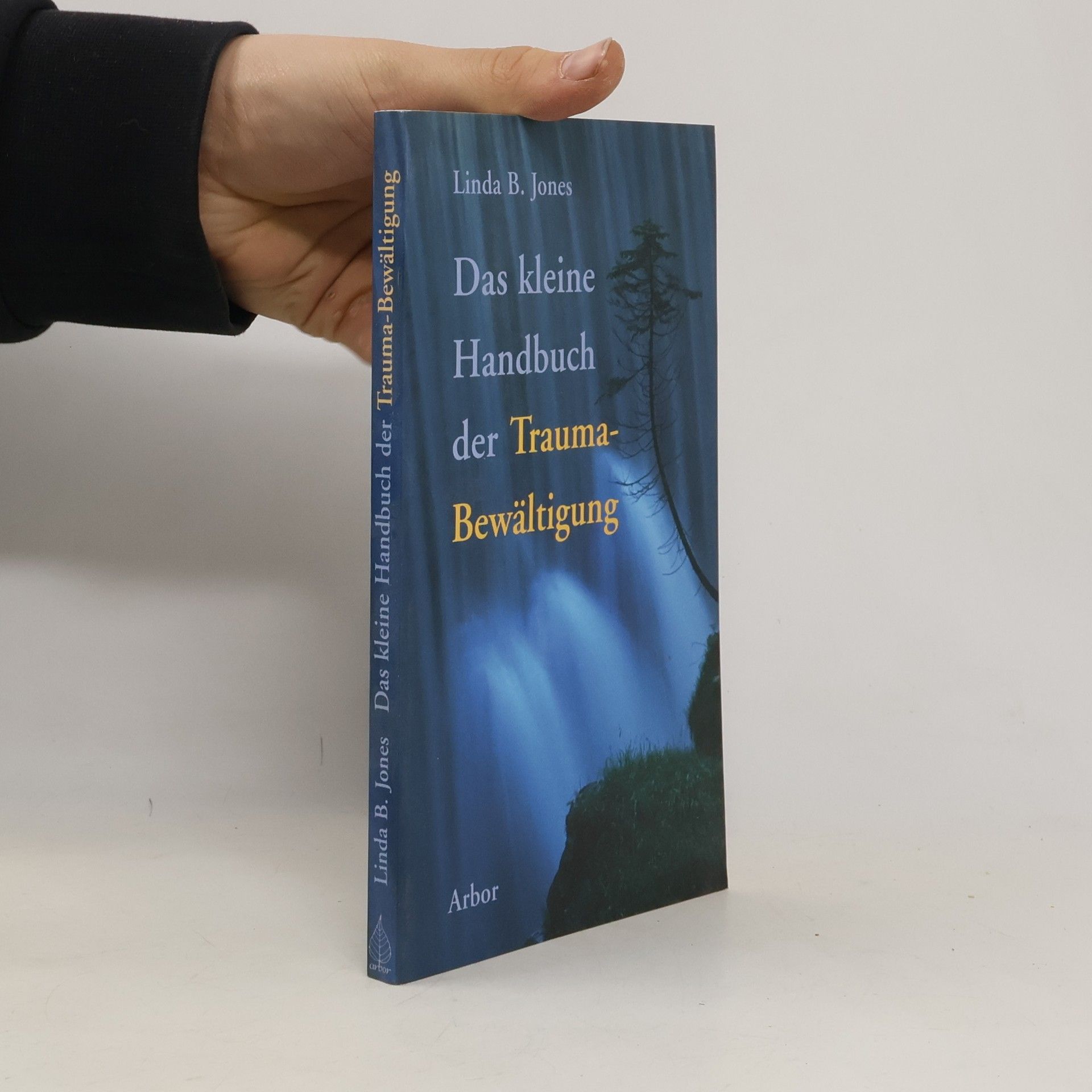 Linda B. Jones Das kleine Handbuch der Trauma-Bewältigung