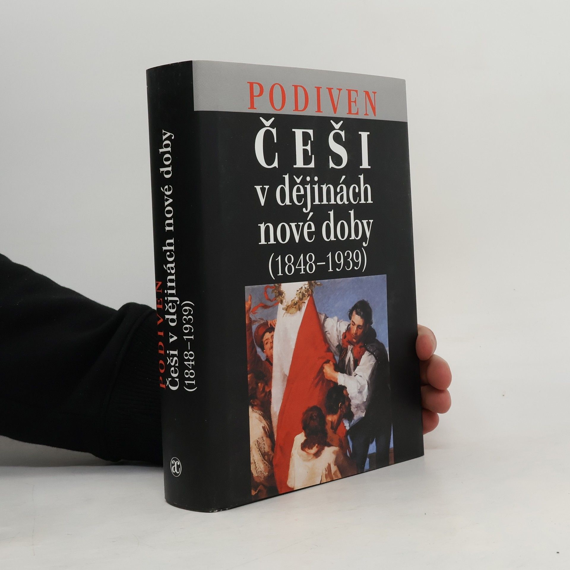 Autorenkollektiv Češi v dějinách nové doby (1848-1939)