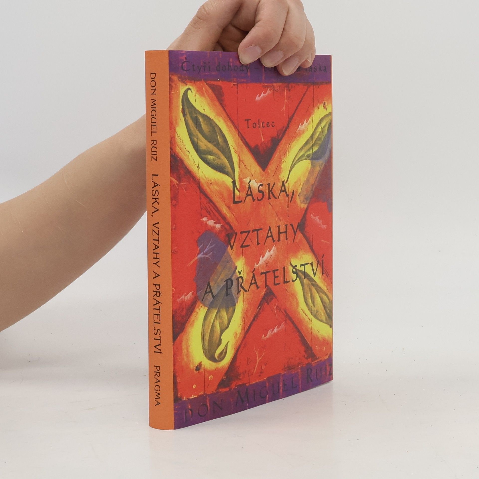 Don Miguel Ruiz Láska, vztahy a přátelství