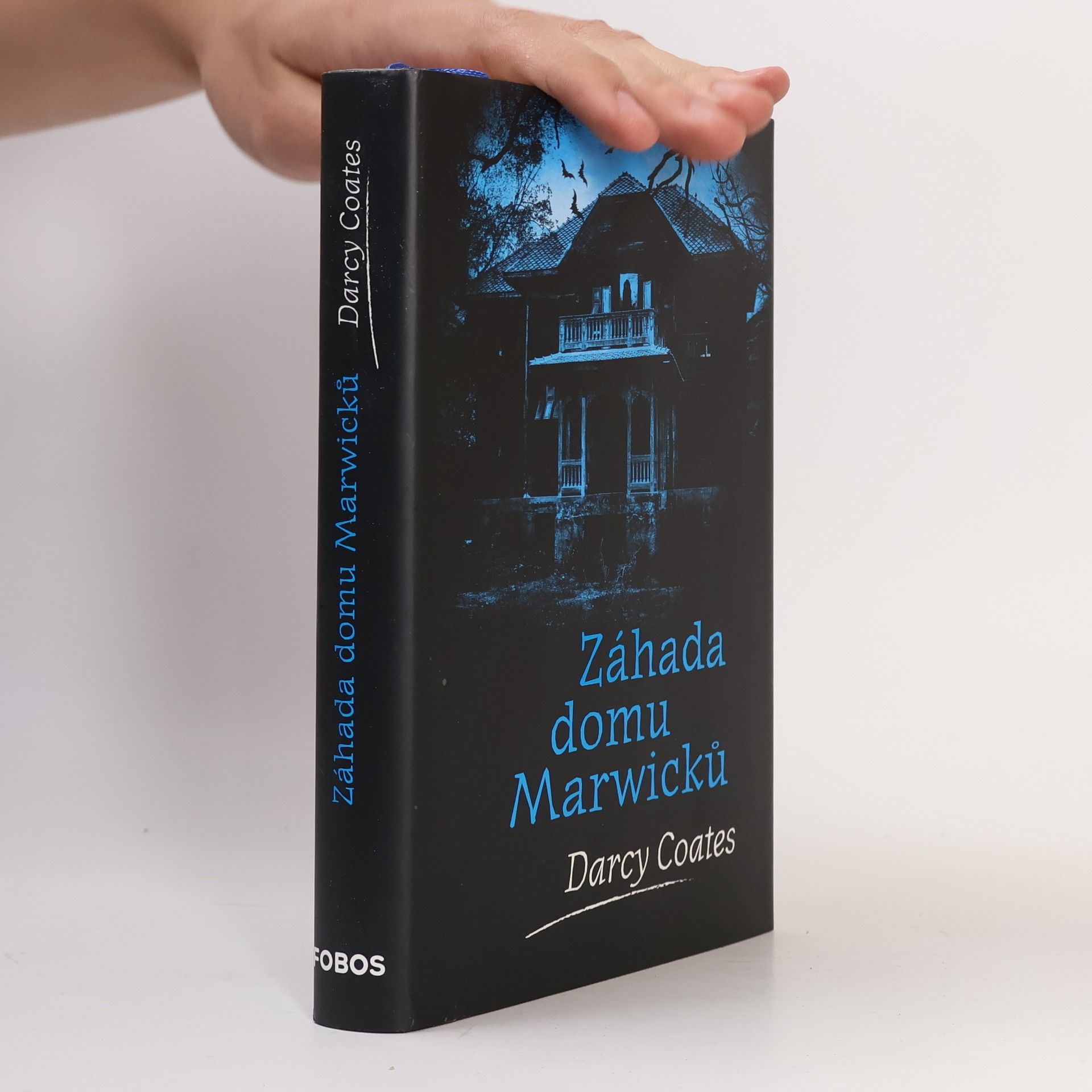 Záhada domu Marwicků