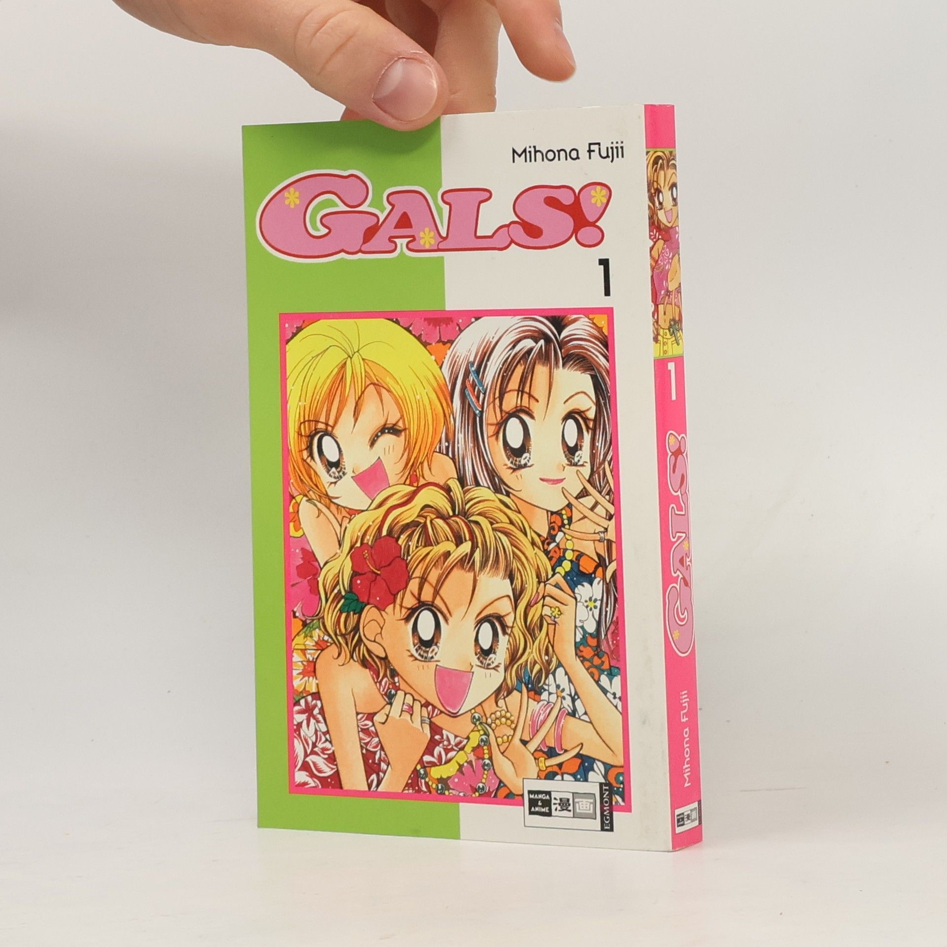 Kolektiv autorů Gals!