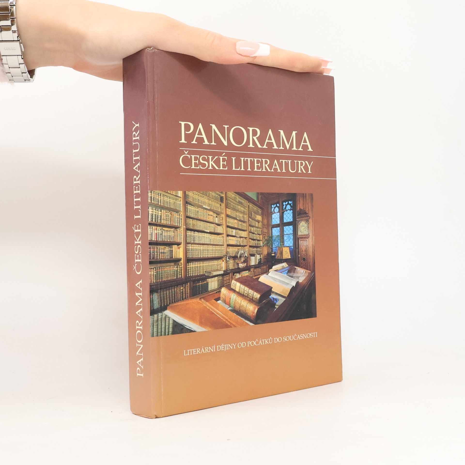 Josef Galík Panorama české literatury. Literární dějiny od počátků do současnosti