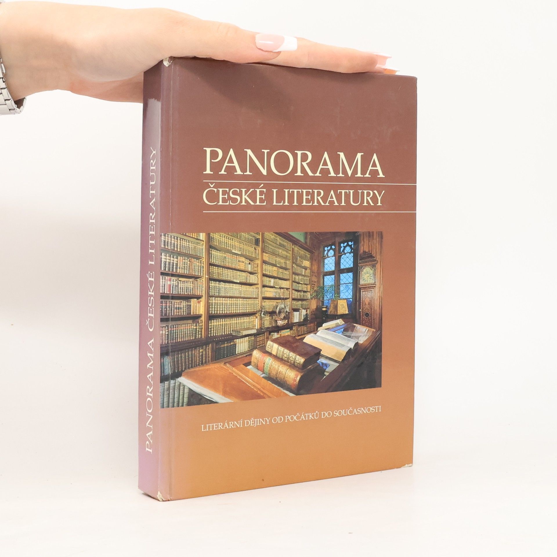 Josef Galík Panorama české literatury. Literární dějiny od počátků do současnosti