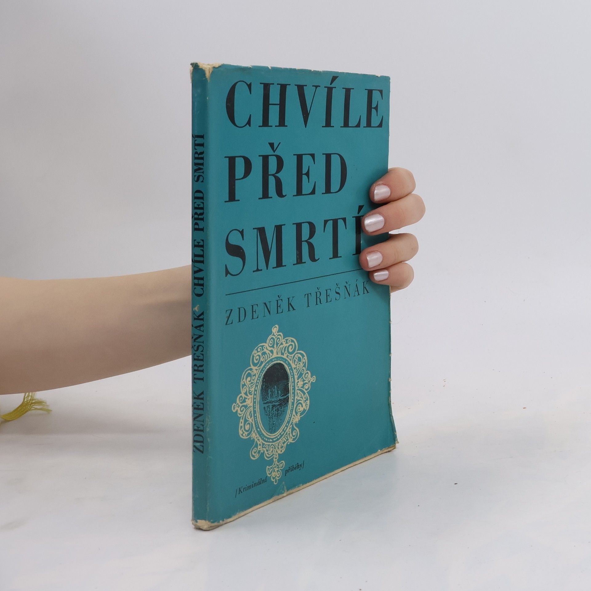 Chvíle před smrtí