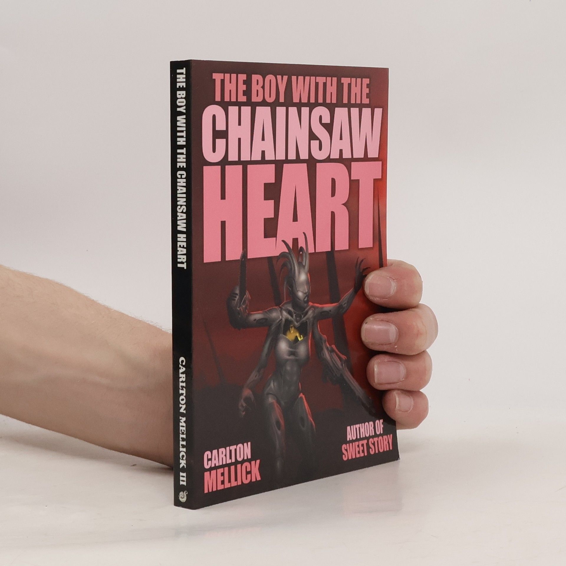 The Boy with the Chainsaw Heart
