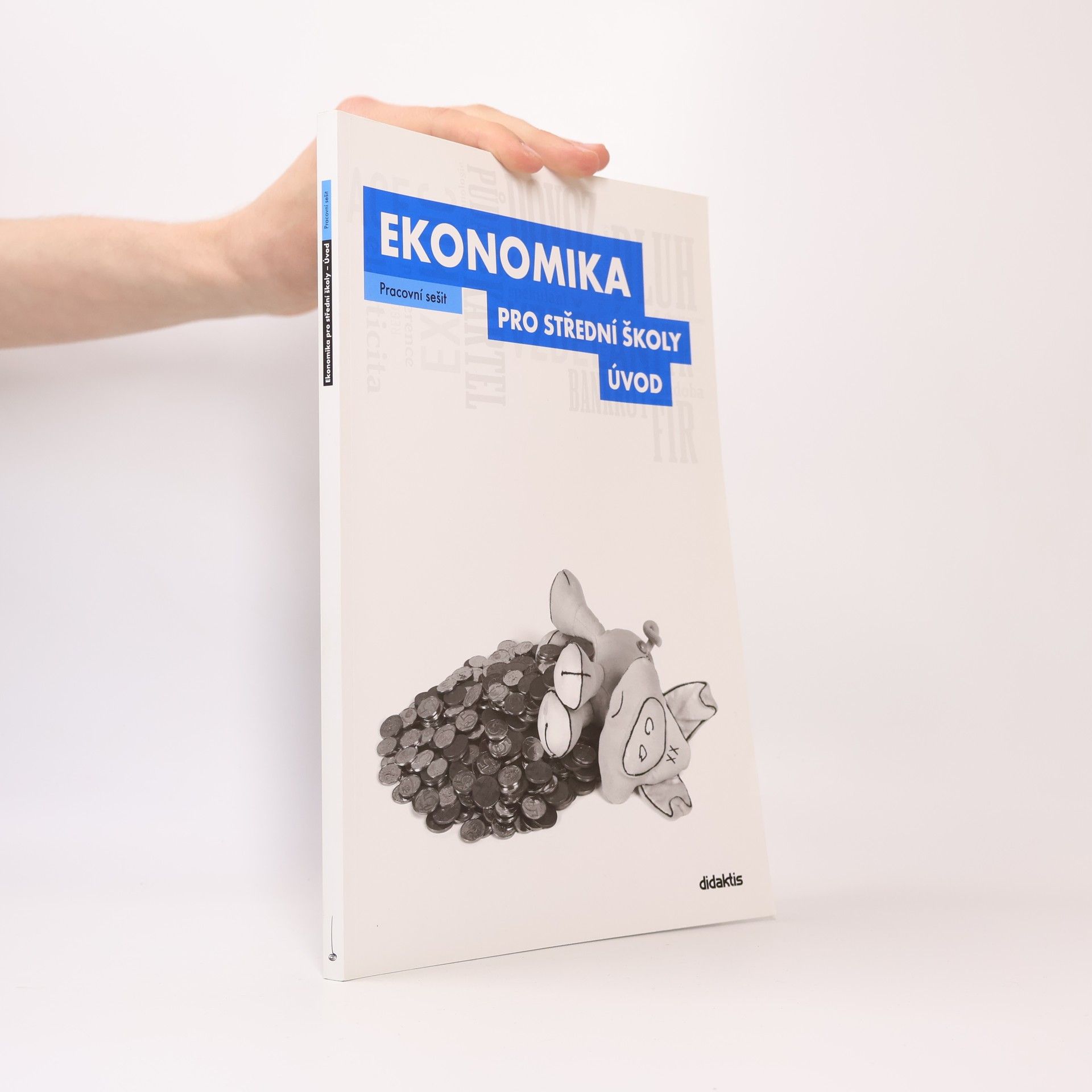 Ekonomika pro střední školy: Úvod. Pracovní sešit