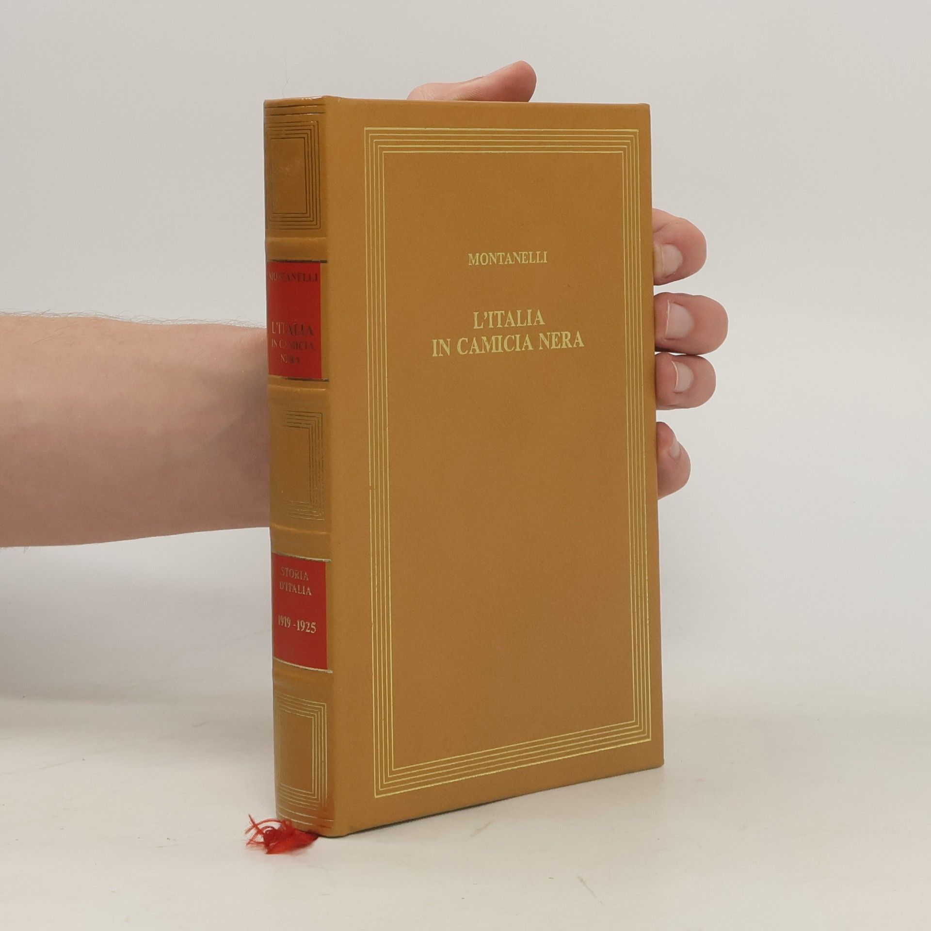 L'Italia in camicia nera (1919-1925)