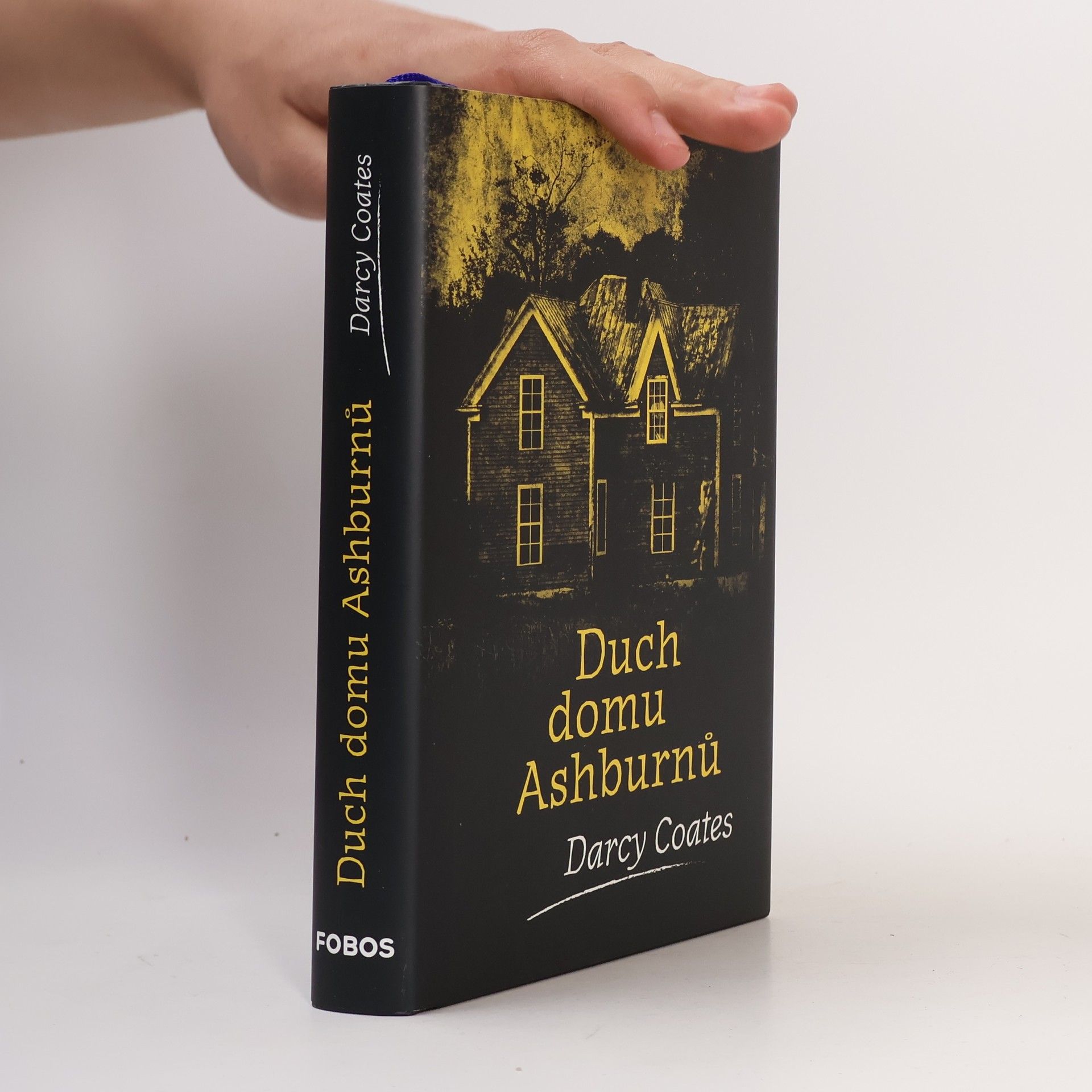 Darcy Coates Duch domu Ashburnů