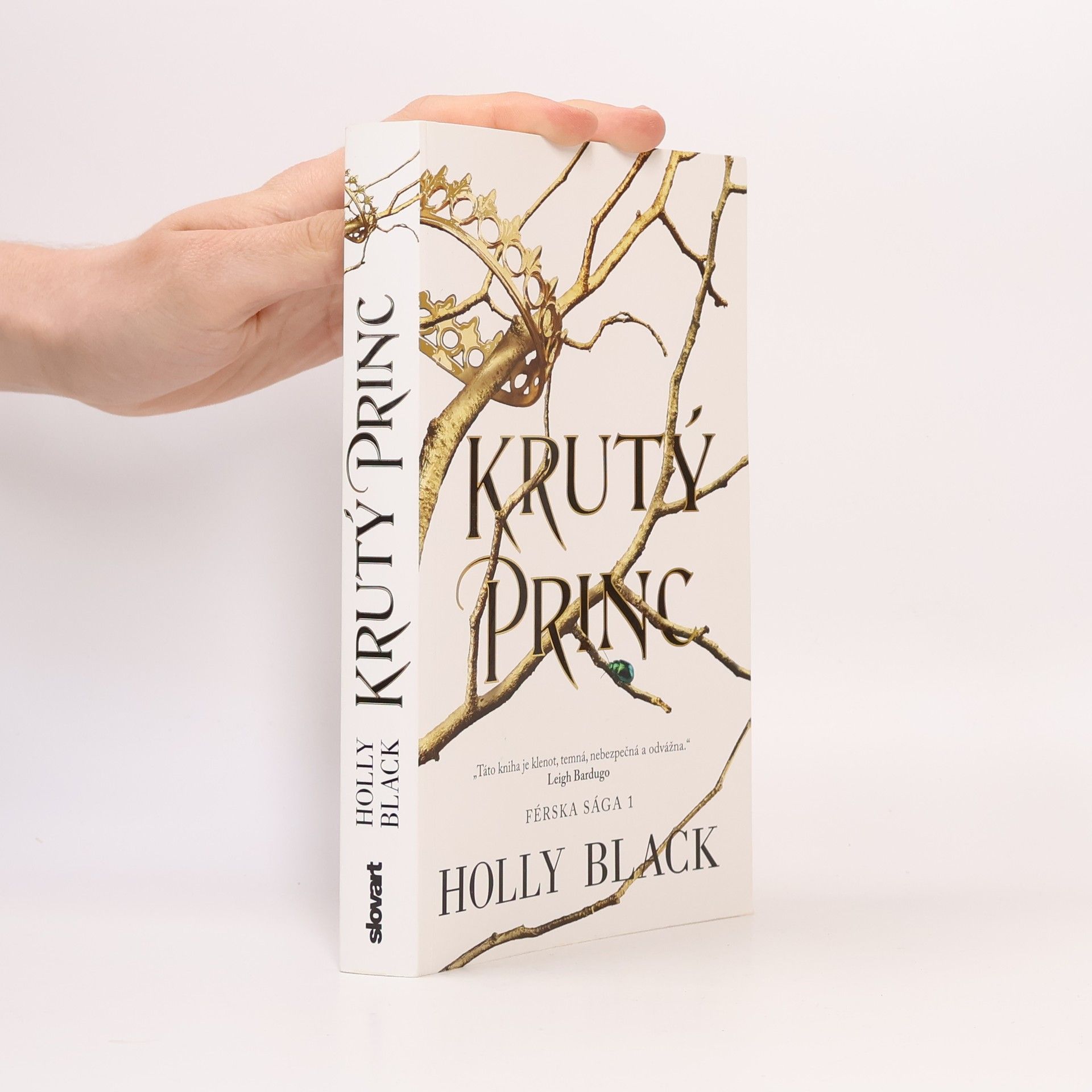 Holly Black Krutý princ