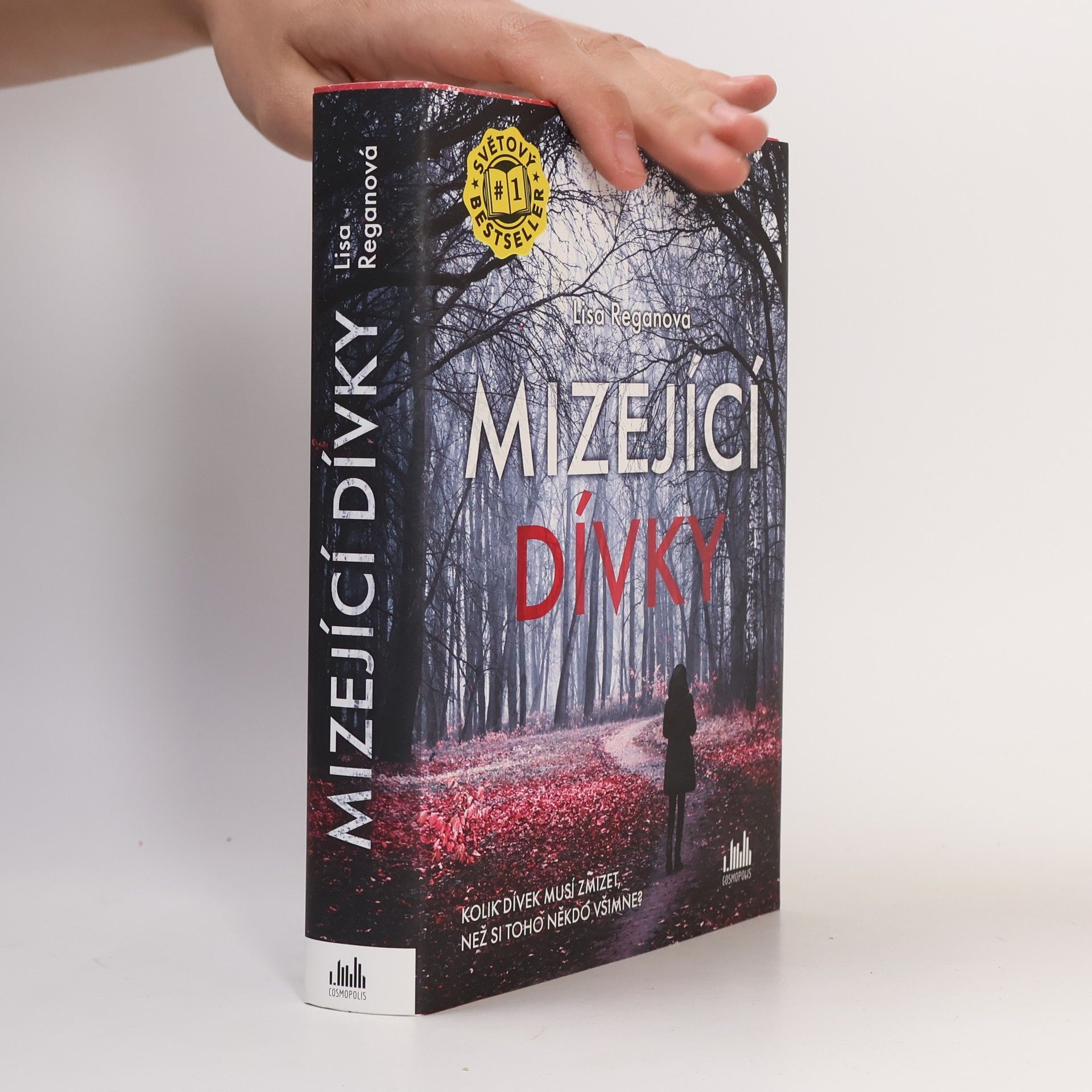 Lisa Regan Mizející dívky
