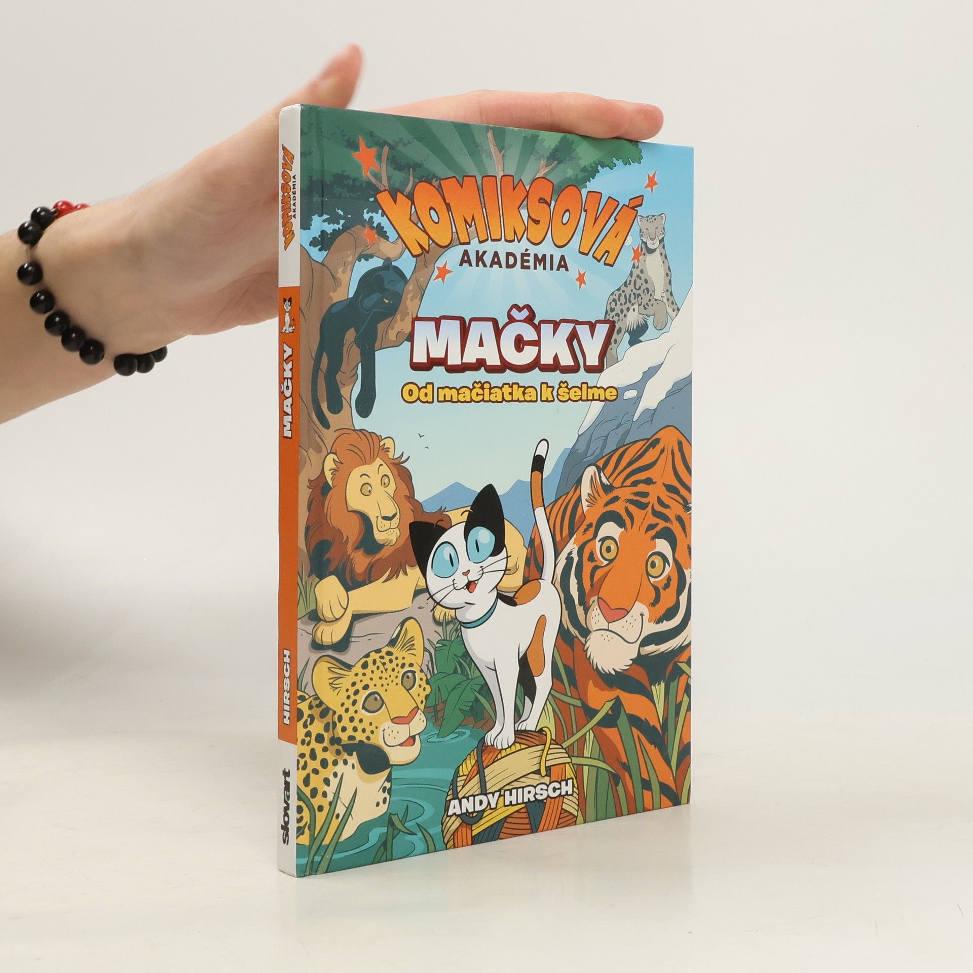 Mačky