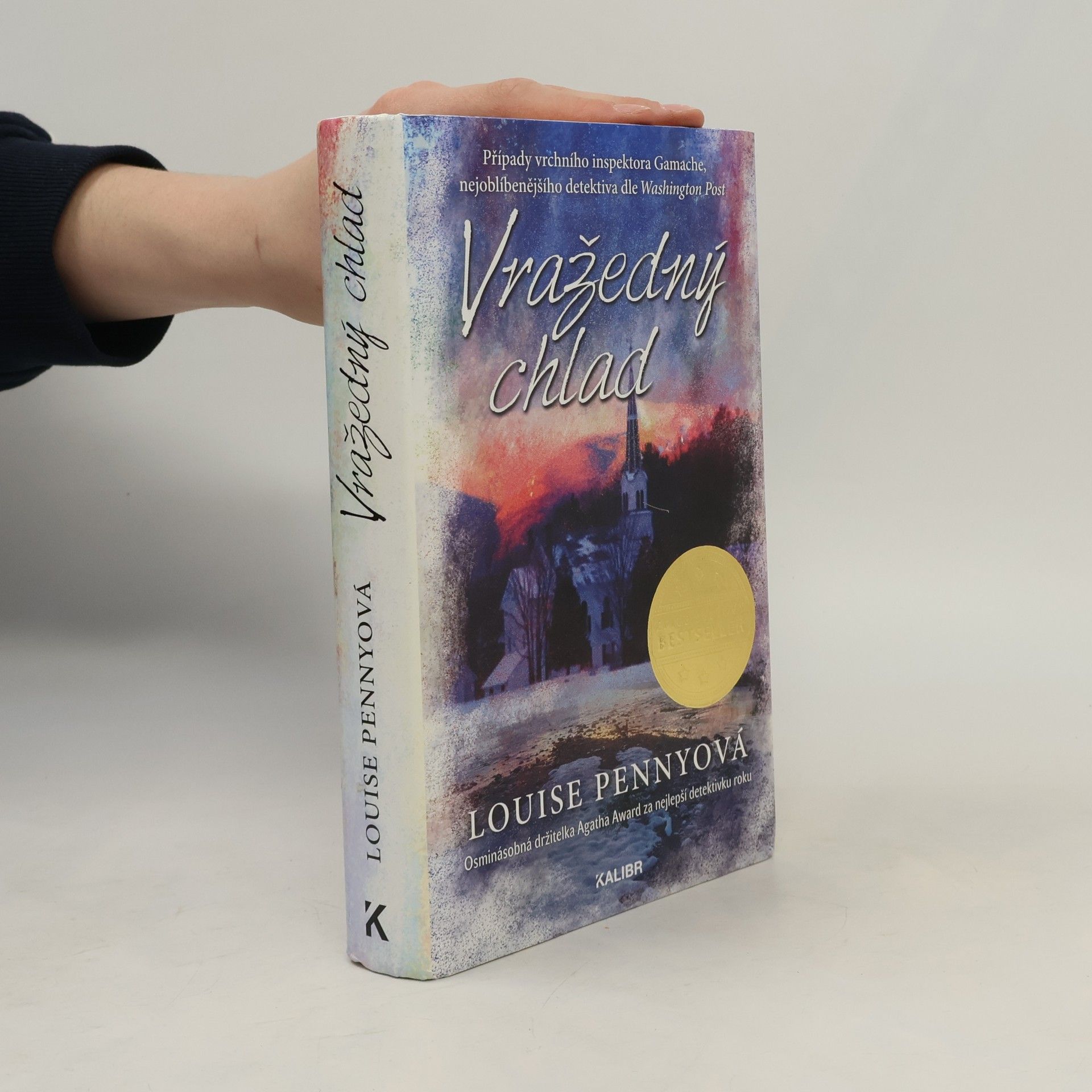 Louise Penny Vražedný chlad