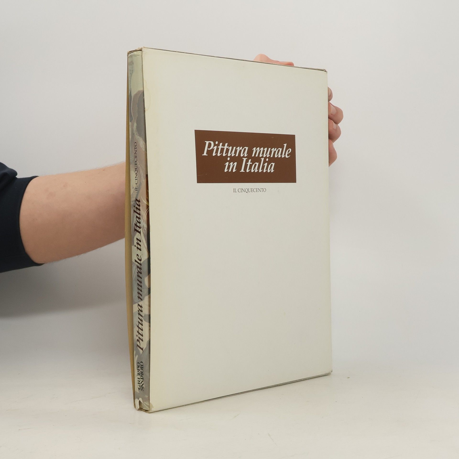 Collectif d'auteurs Pittura murale in Italia