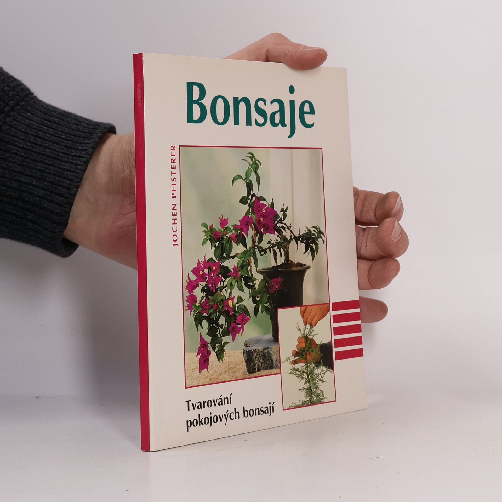 Jochen Pfisterer Bonsaje. Tvarování pokojových bonsají