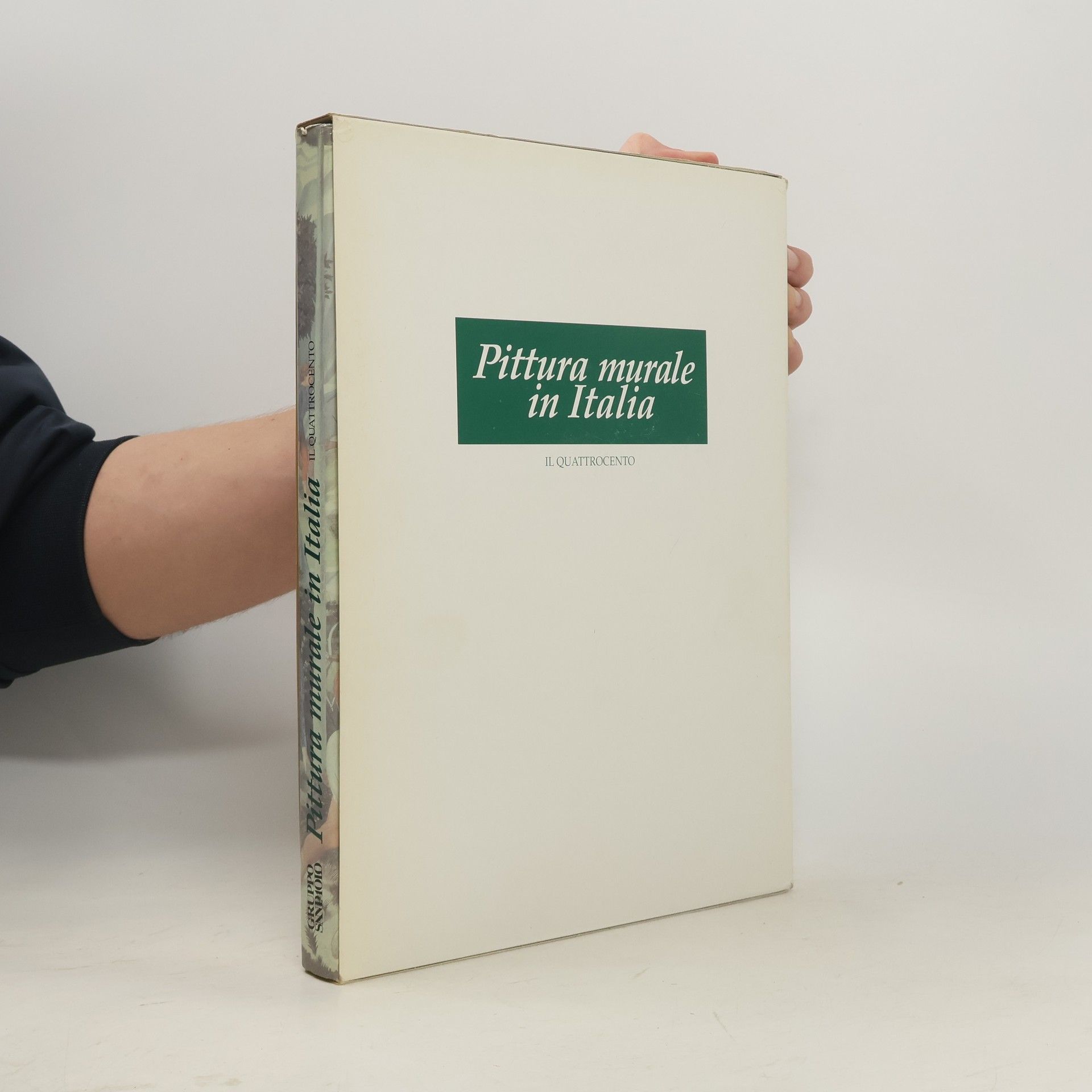 Collectif d'auteurs Pittura murale in Italia