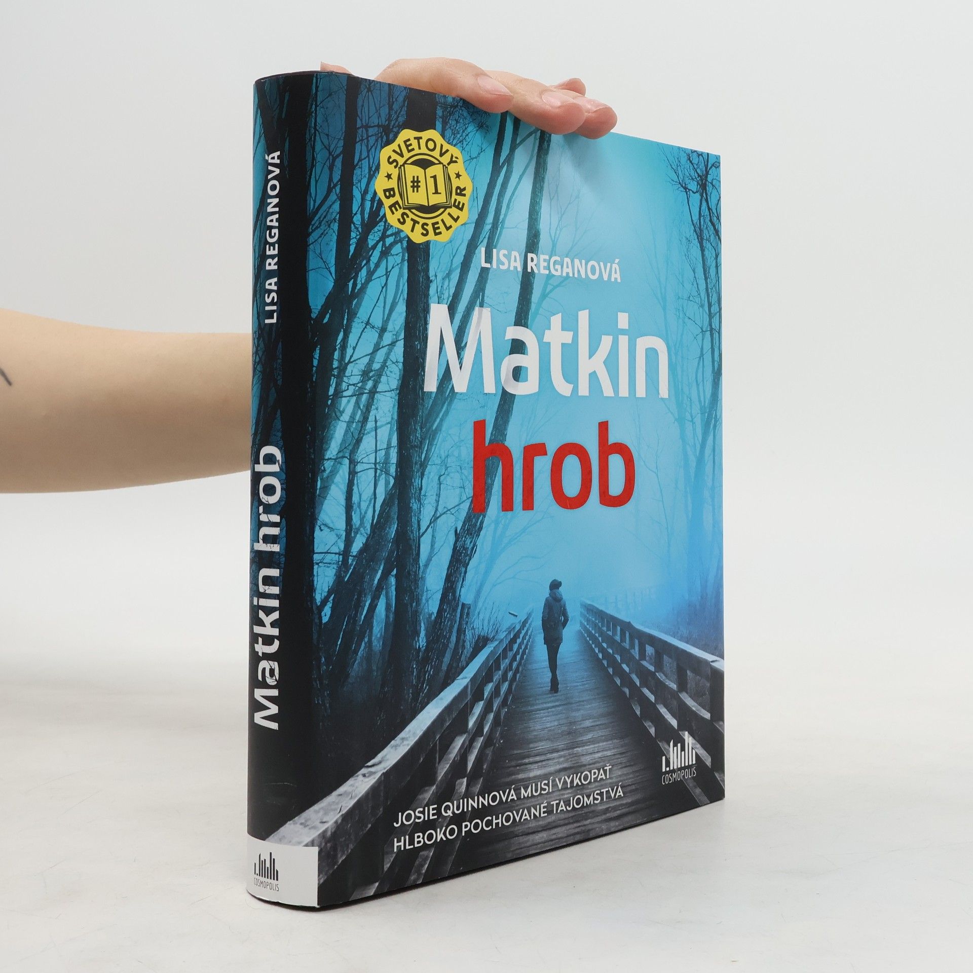 Lisa Regan Matkin hrob