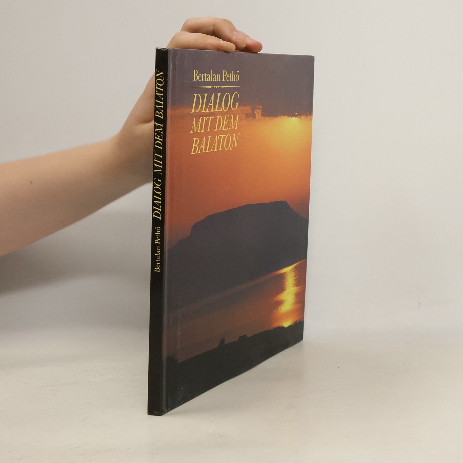 Bertalan Pethő Dialog mit dem Balaton