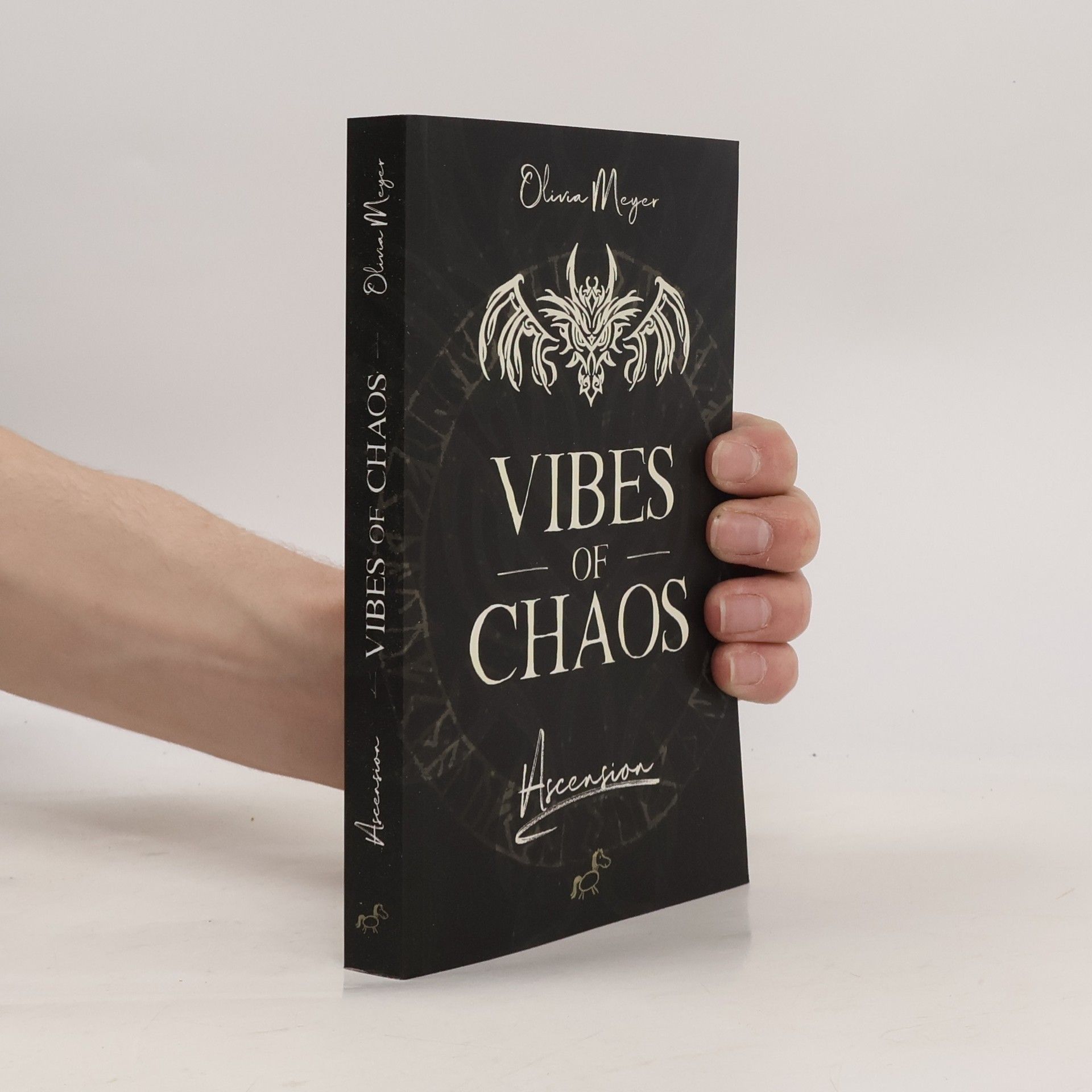 Olivia Meyer Vibes of Chaos. Ascension