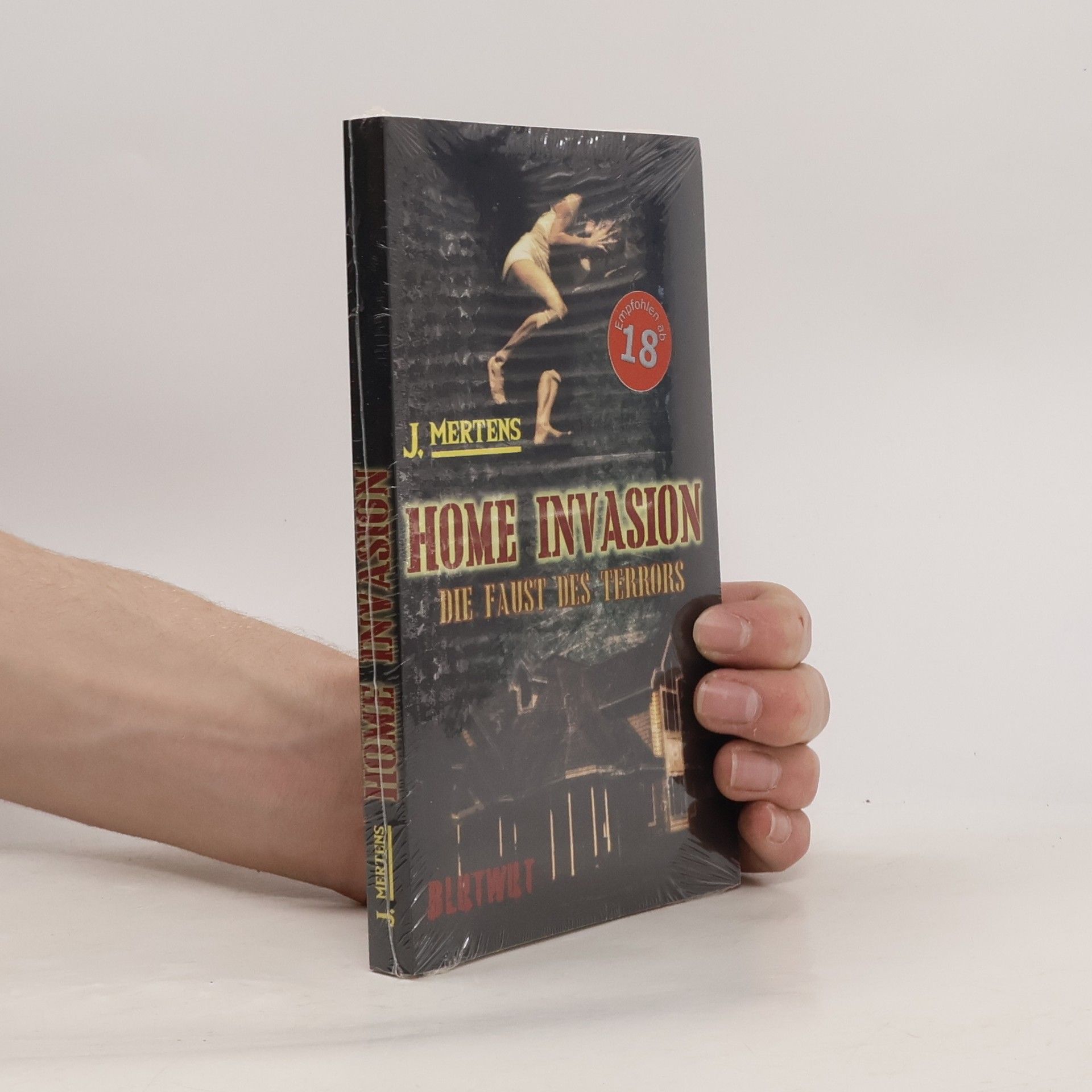 Home Invasion: Die Faust des Terrors