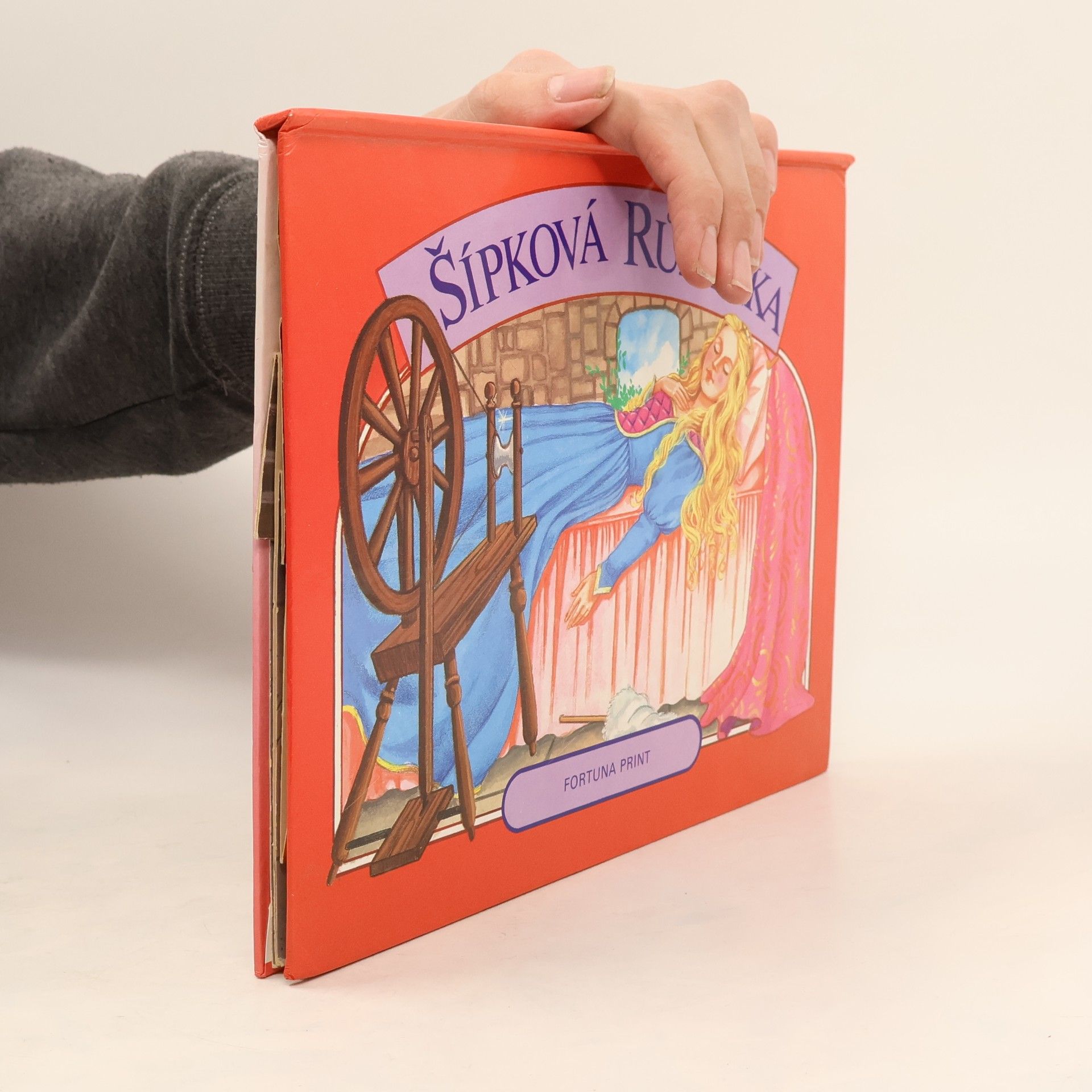 Autorenkollektiv Šípková Růženka