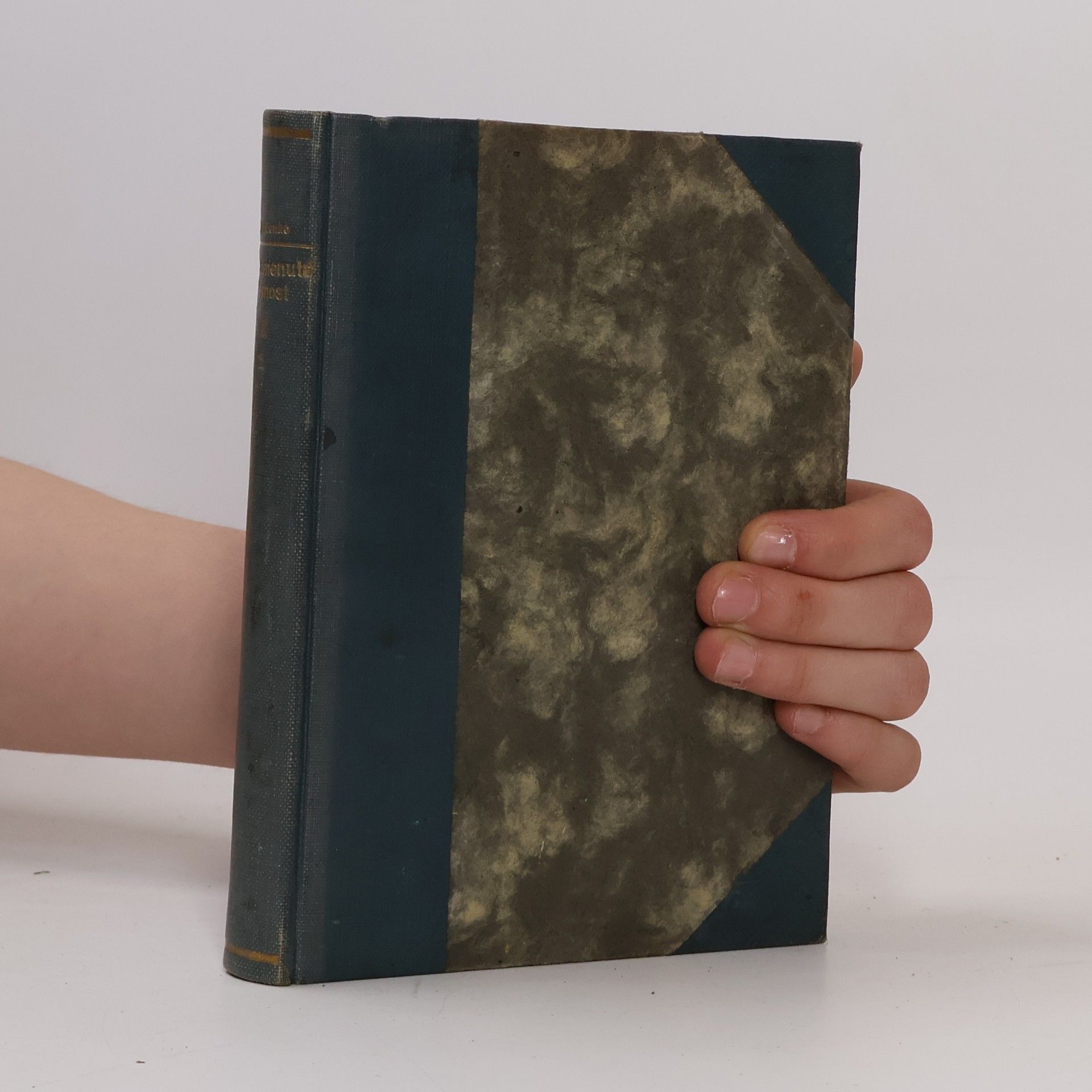 Zapomenutá pevnost. Díl II