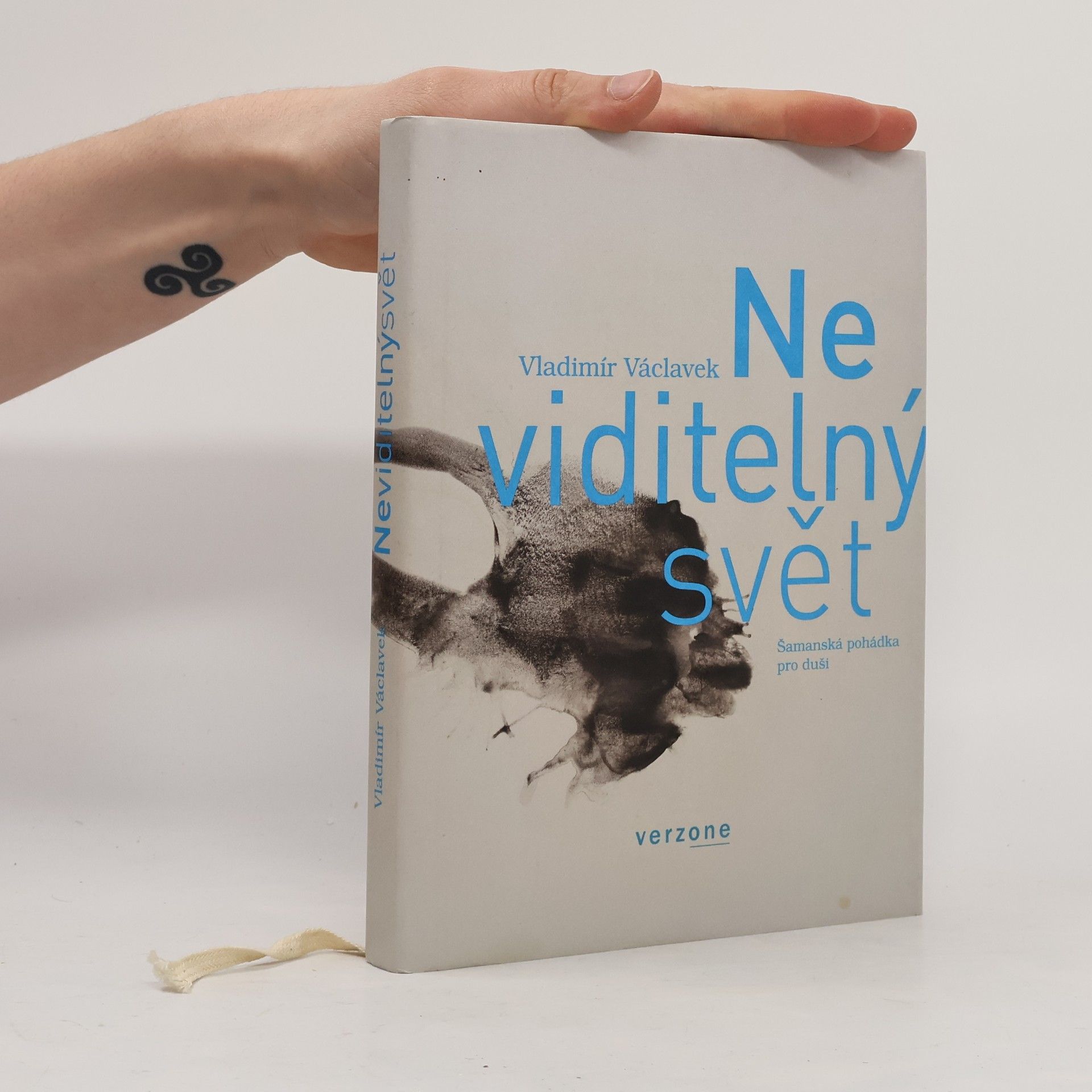 Neviditelný svět. Šamanská pohádka pro duši