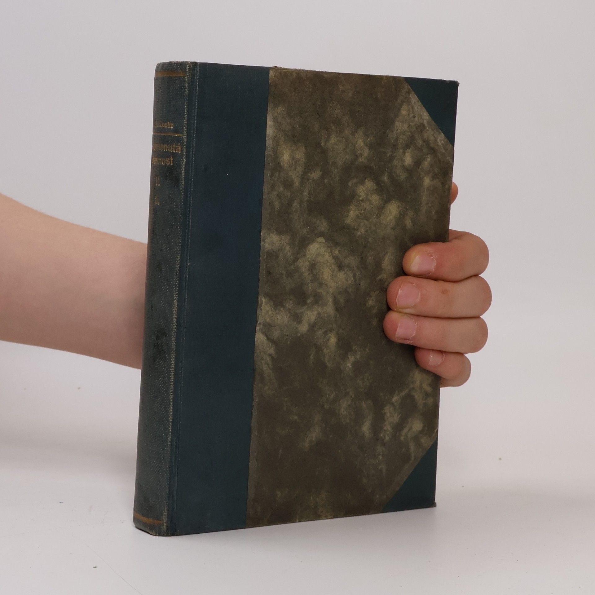 Zapomenutá pevnost. Díl II.