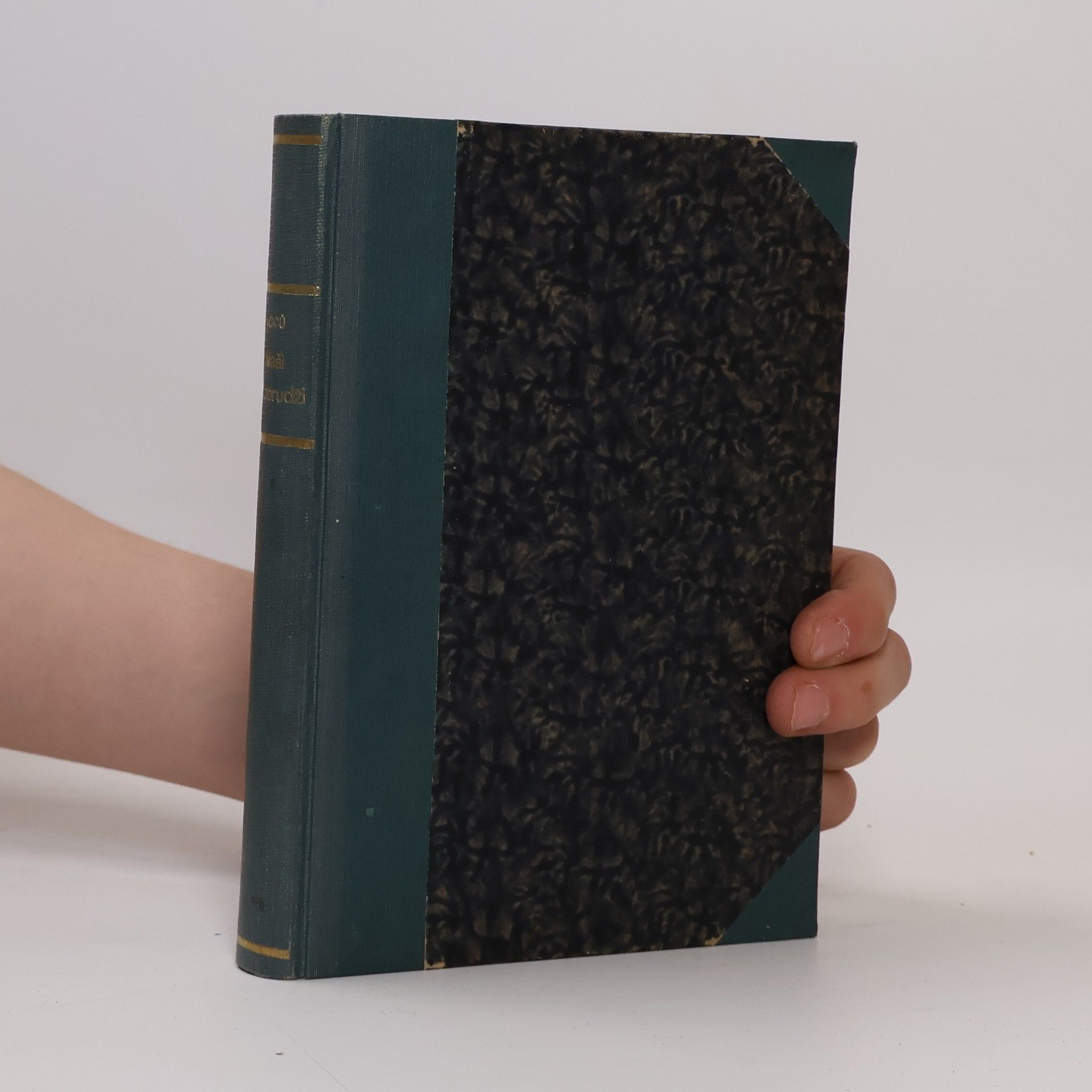 F. V. Voců Naši v dobruži