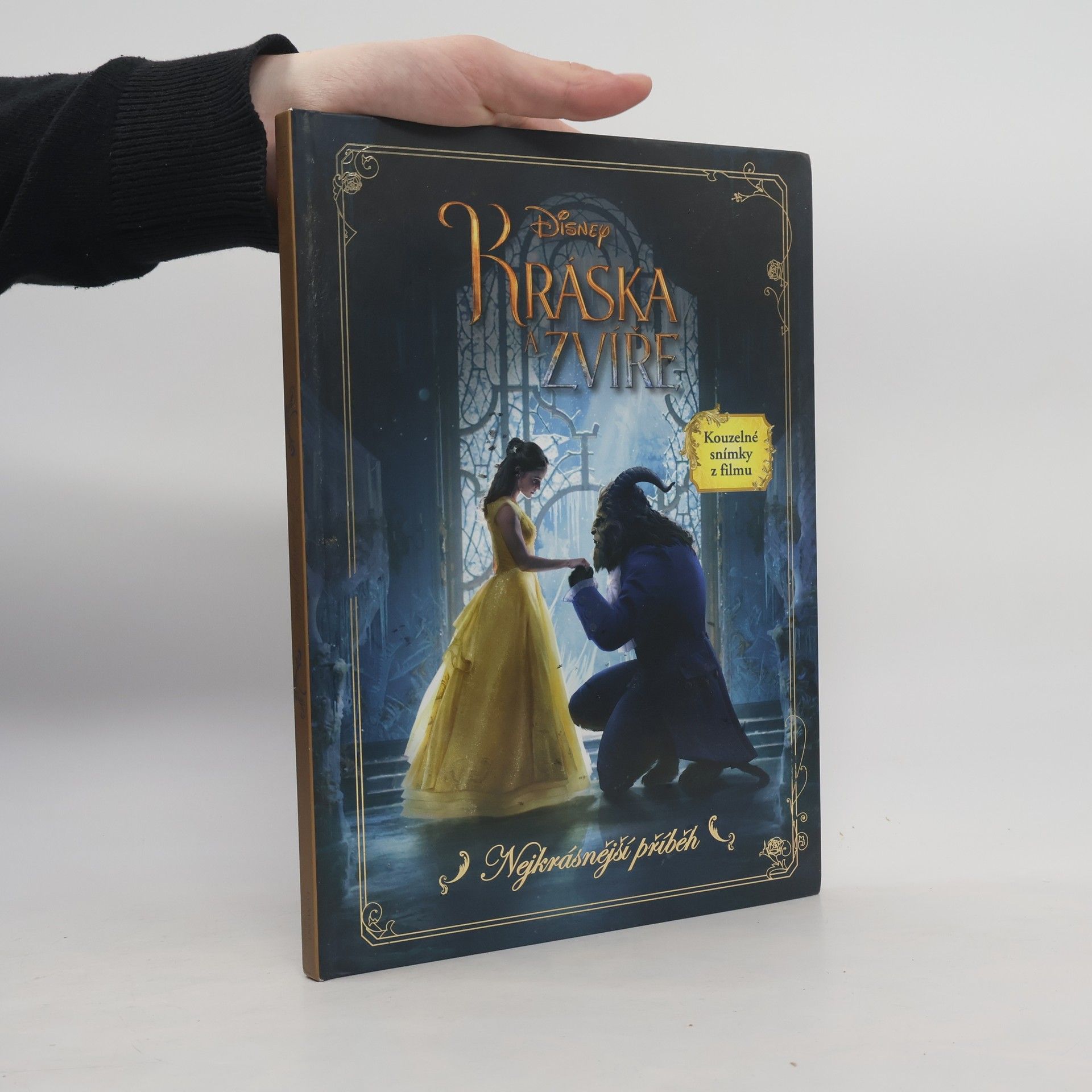 Kolektiv autorů Kráska a zvíře