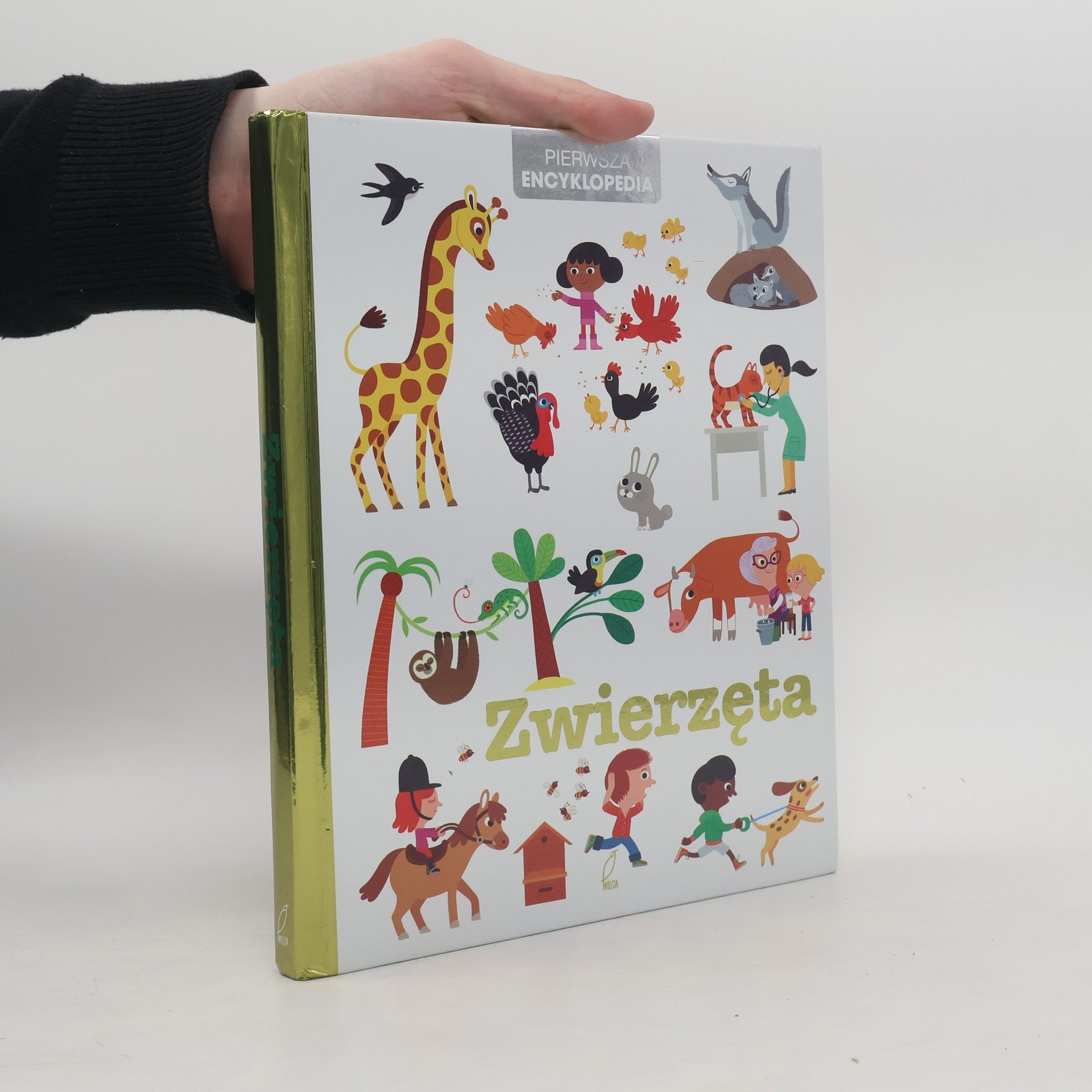 Collectif d'auteurs Zwierzęta Pierwsza encyklopedia