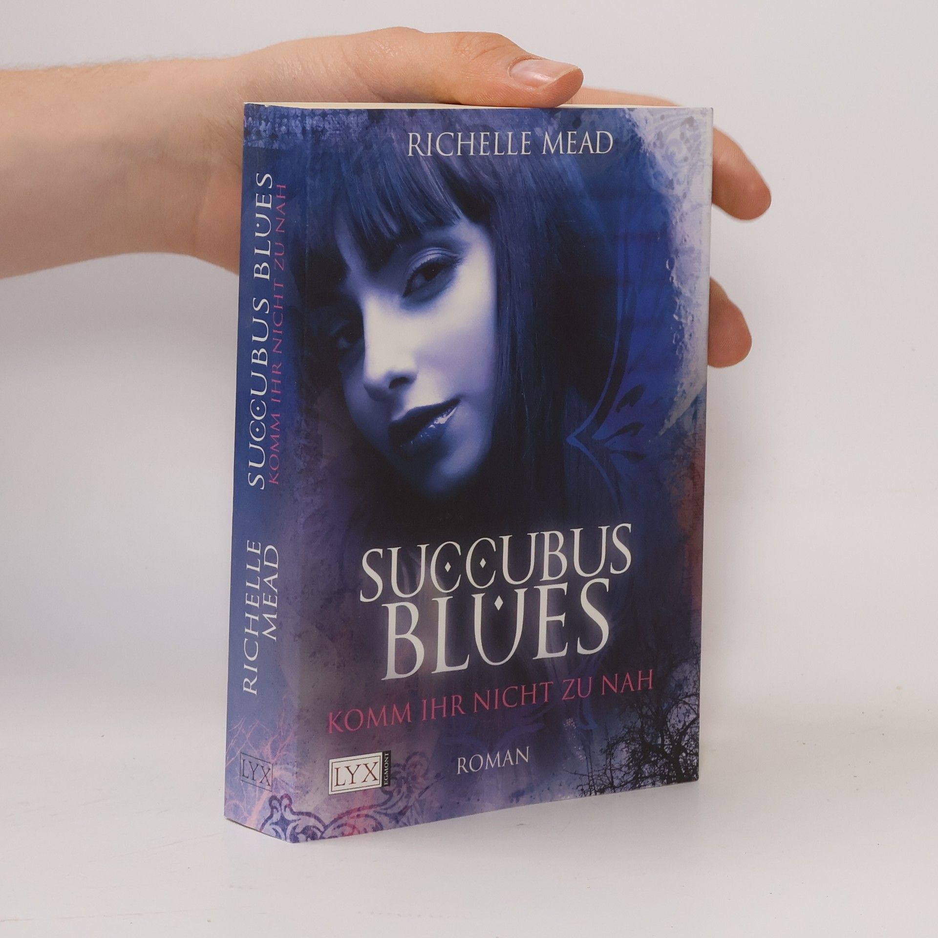 Richelle Mead Succubus Blues