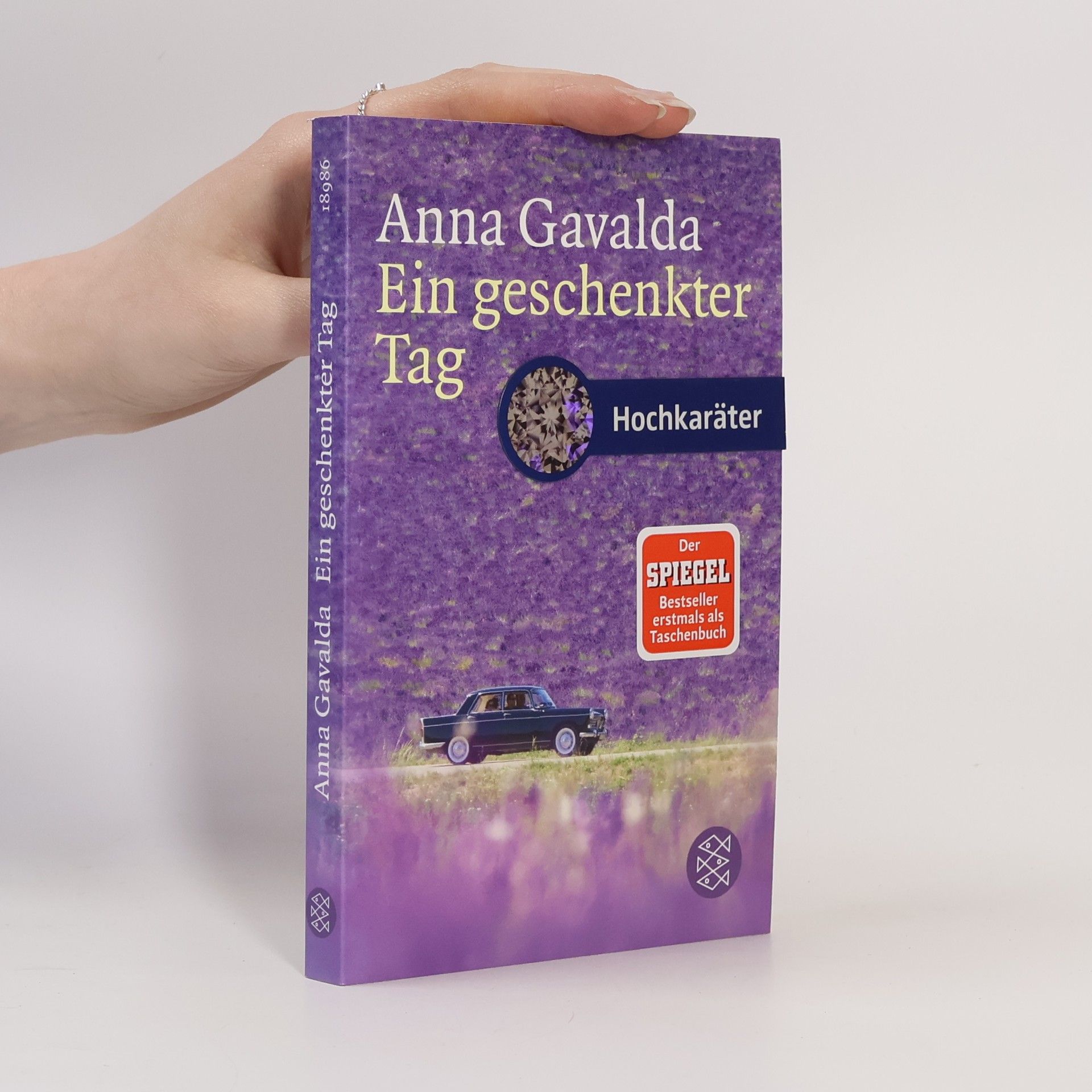 Anna Gavalda Ein geschenkter Tag