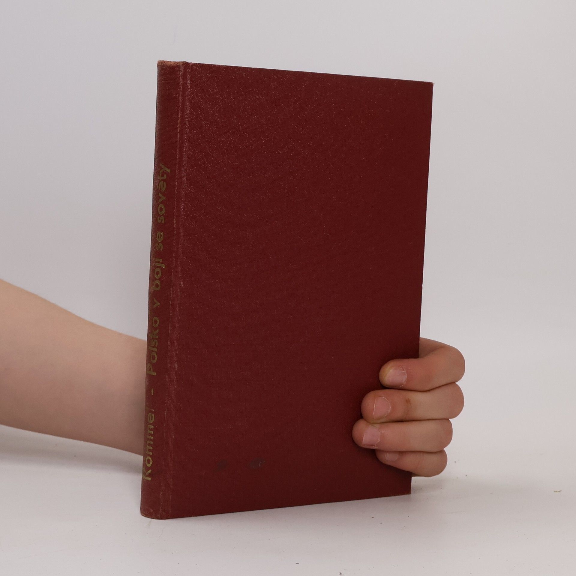 Julius Rómmel Polsko v boji se Sověty