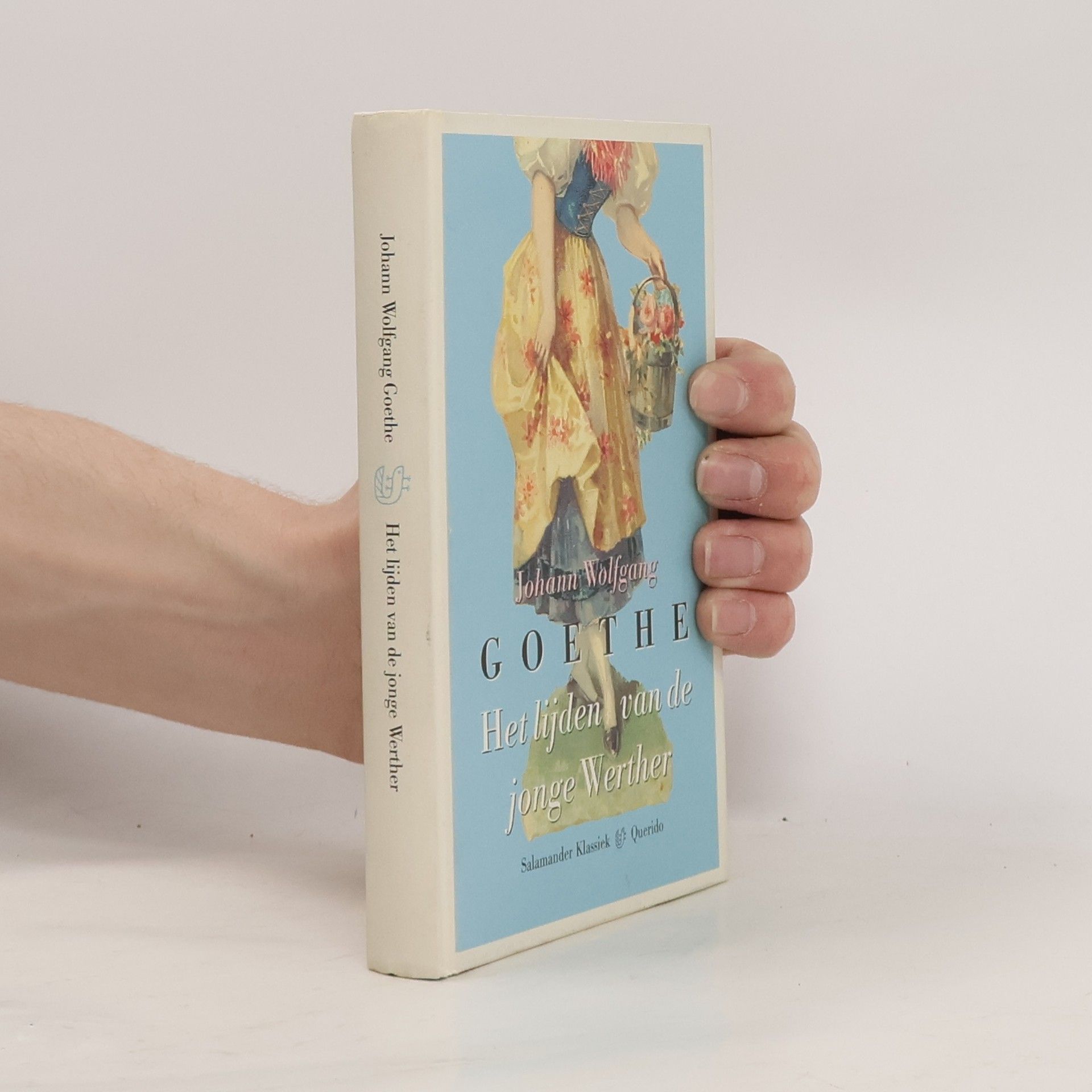 Johann Wolfgang von Goethe Salamander Klassiek: Het lijden van de jonge Werther