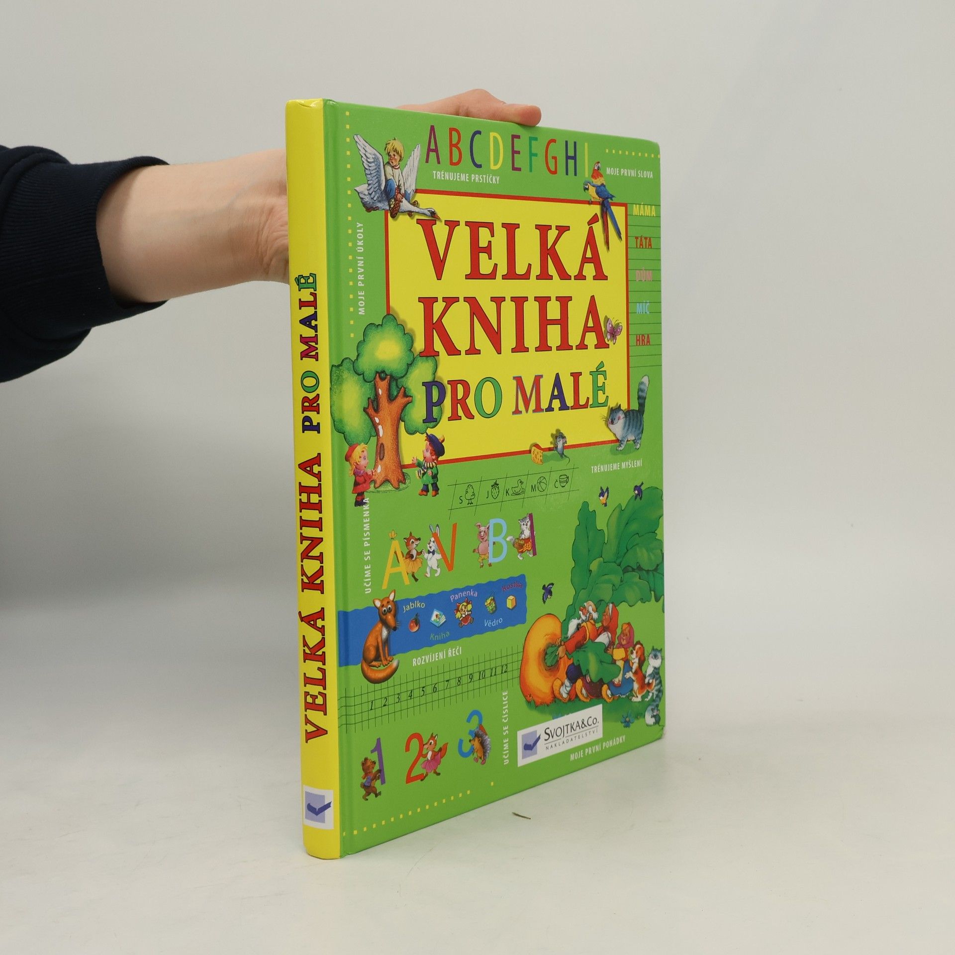 Various authors Velká kniha pro malé