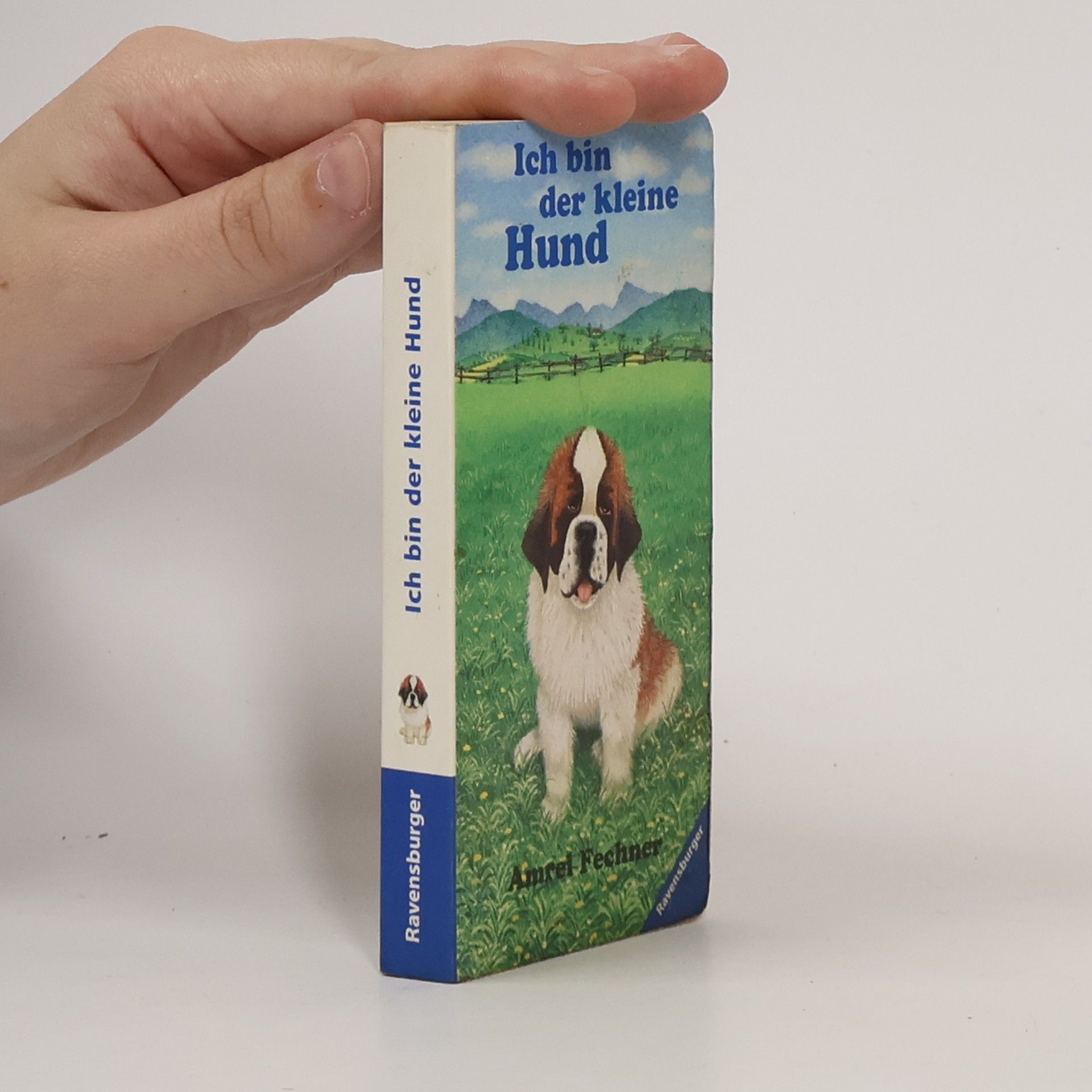 Amrei Fechner Ich bin das kleine Pony